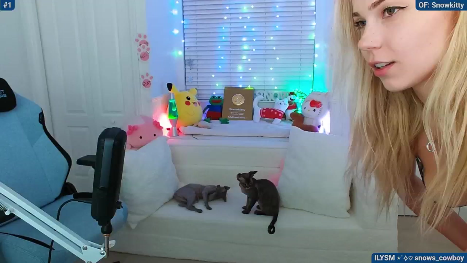 Gallery image thumbnail from Snowkitty's myfreecams stream on, 04/26/2024, 04:55 image 17 of 20