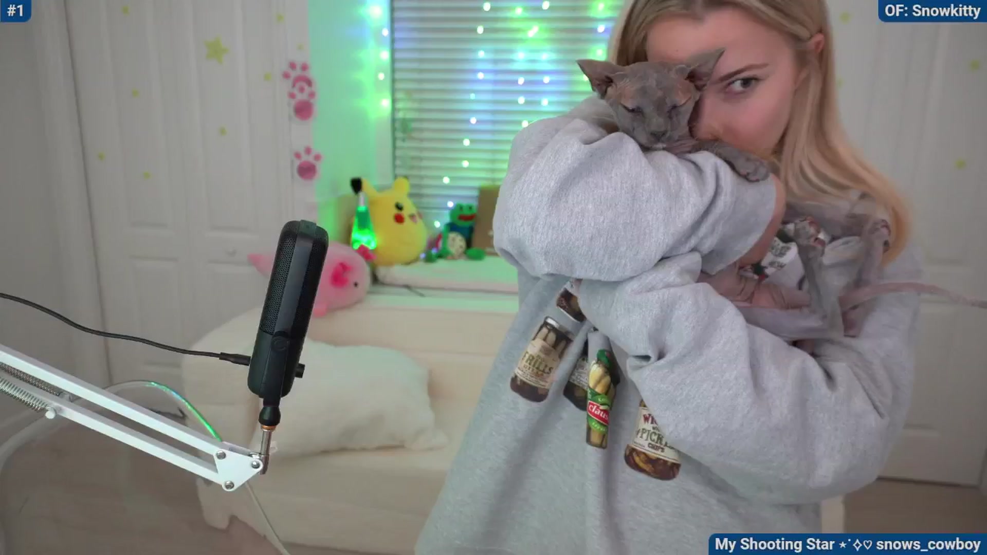 Gallery image thumbnail from Snowkitty's myfreecams stream on, 04/28/2024, 05:54 image 8 of 20