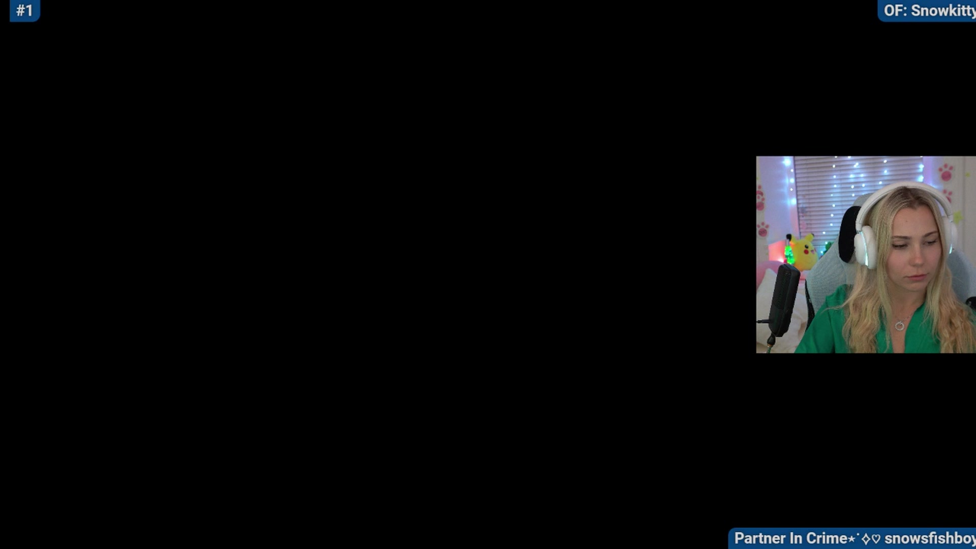 Gallery image thumbnail from Snowkitty's myfreecams stream on, 04/30/2024, 06:13 image 16 of 20