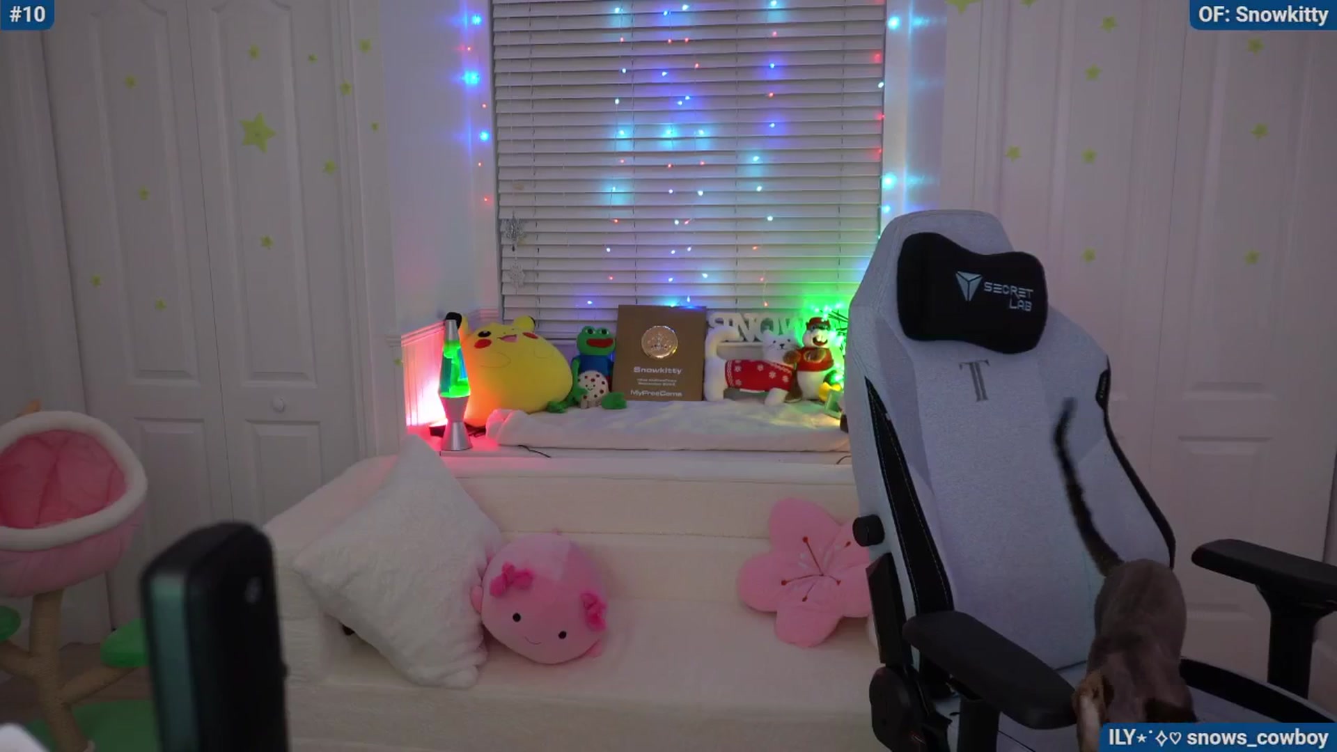 Gallery image thumbnail from Snowkitty's myfreecams stream on, 05/09/2024, 04:50 image 11 of 20