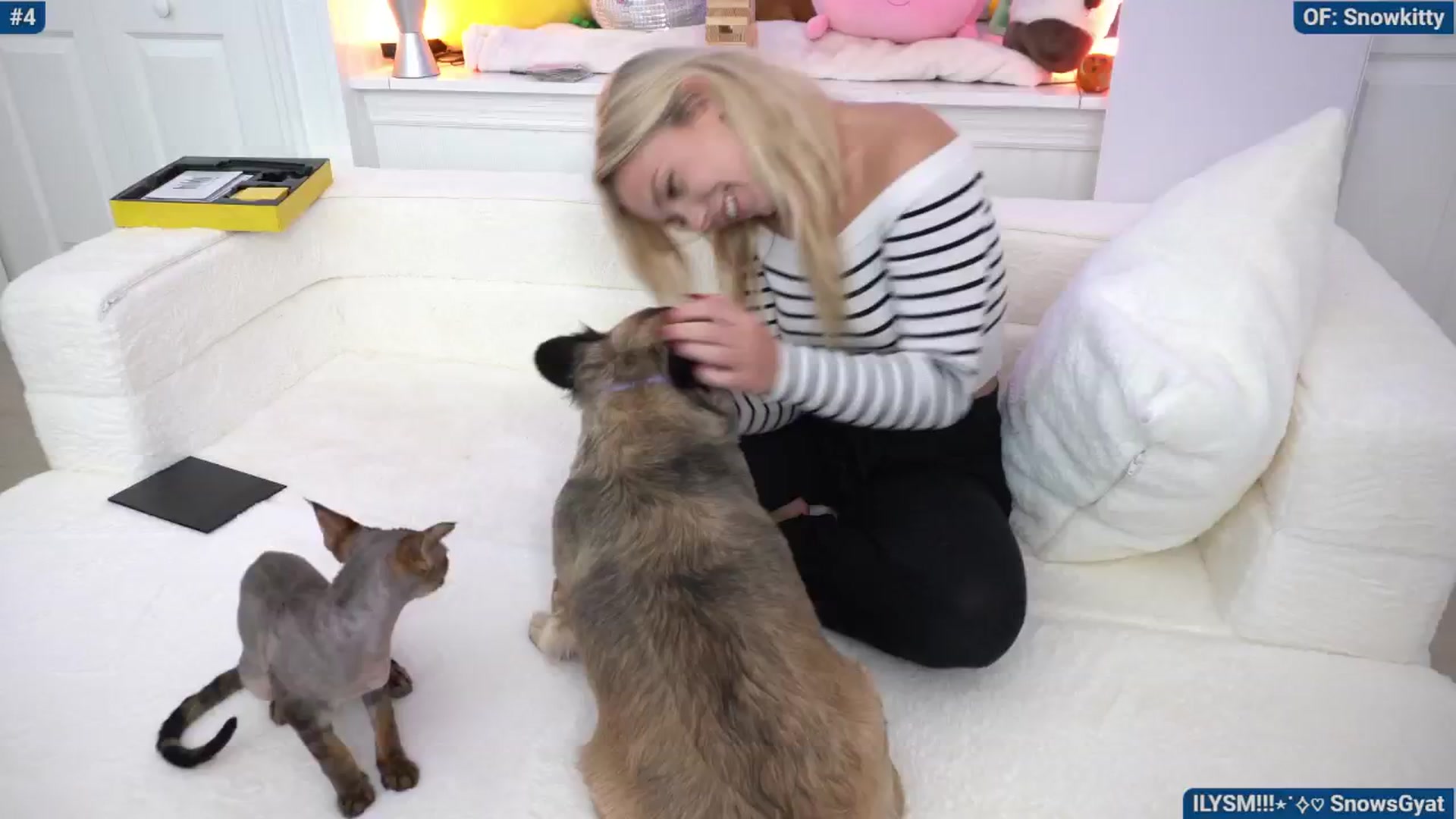 Gallery image thumbnail from Snowkitty's myfreecams stream on, 05/20/2024, 04:47 image 18 of 20