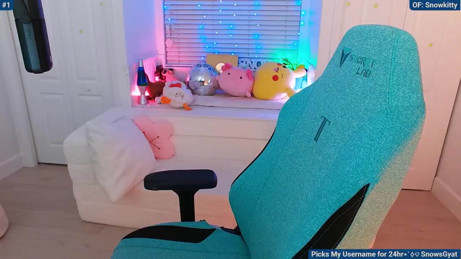 Gallery image thumbnail from Snowkitty's myfreecams stream on, 06/05/2024, 03:09 image 7 of 20
