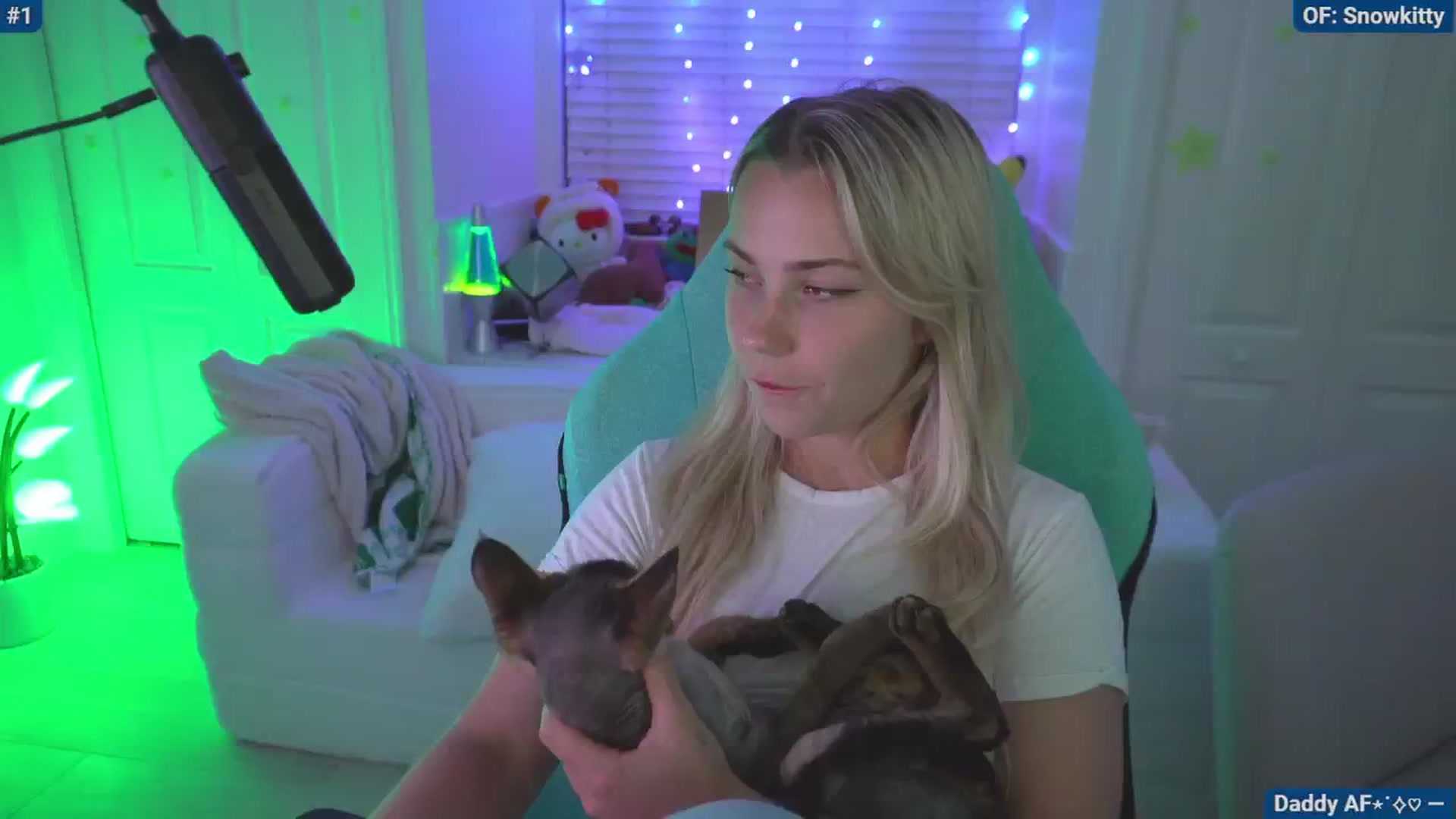 Gallery image thumbnail from Snowkitty's myfreecams stream on, 06/13/2024, 02:17 image 1 of 20