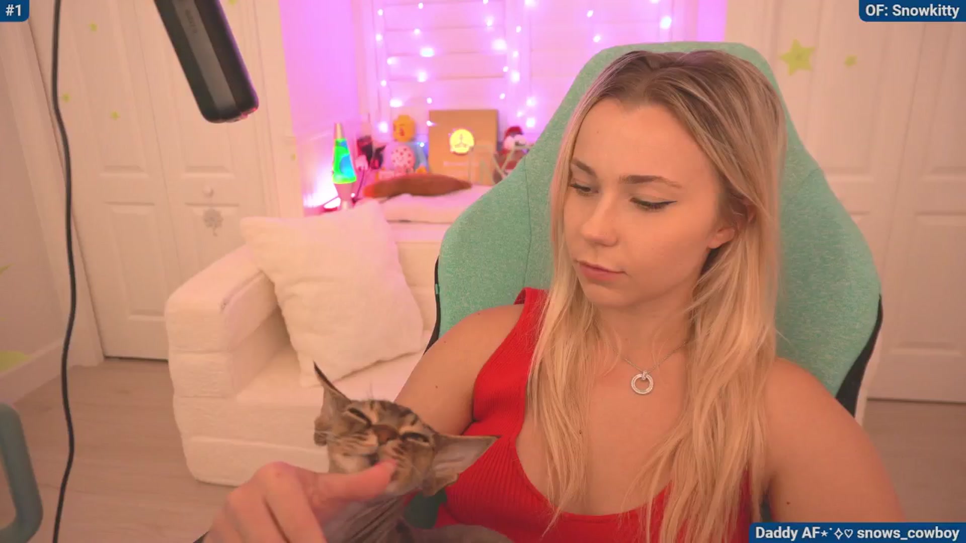 Gallery image thumbnail from Snowkitty's myfreecams stream on, 06/29/2024, 03:23 image 14 of 20