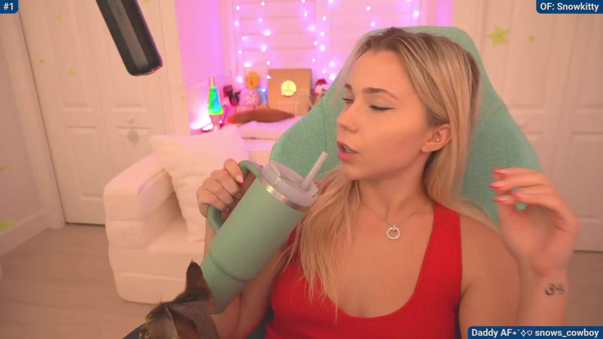 Gallery image thumbnail from Snowkitty's myfreecams stream on, 06/29/2024, 03:23 image 18 of 20