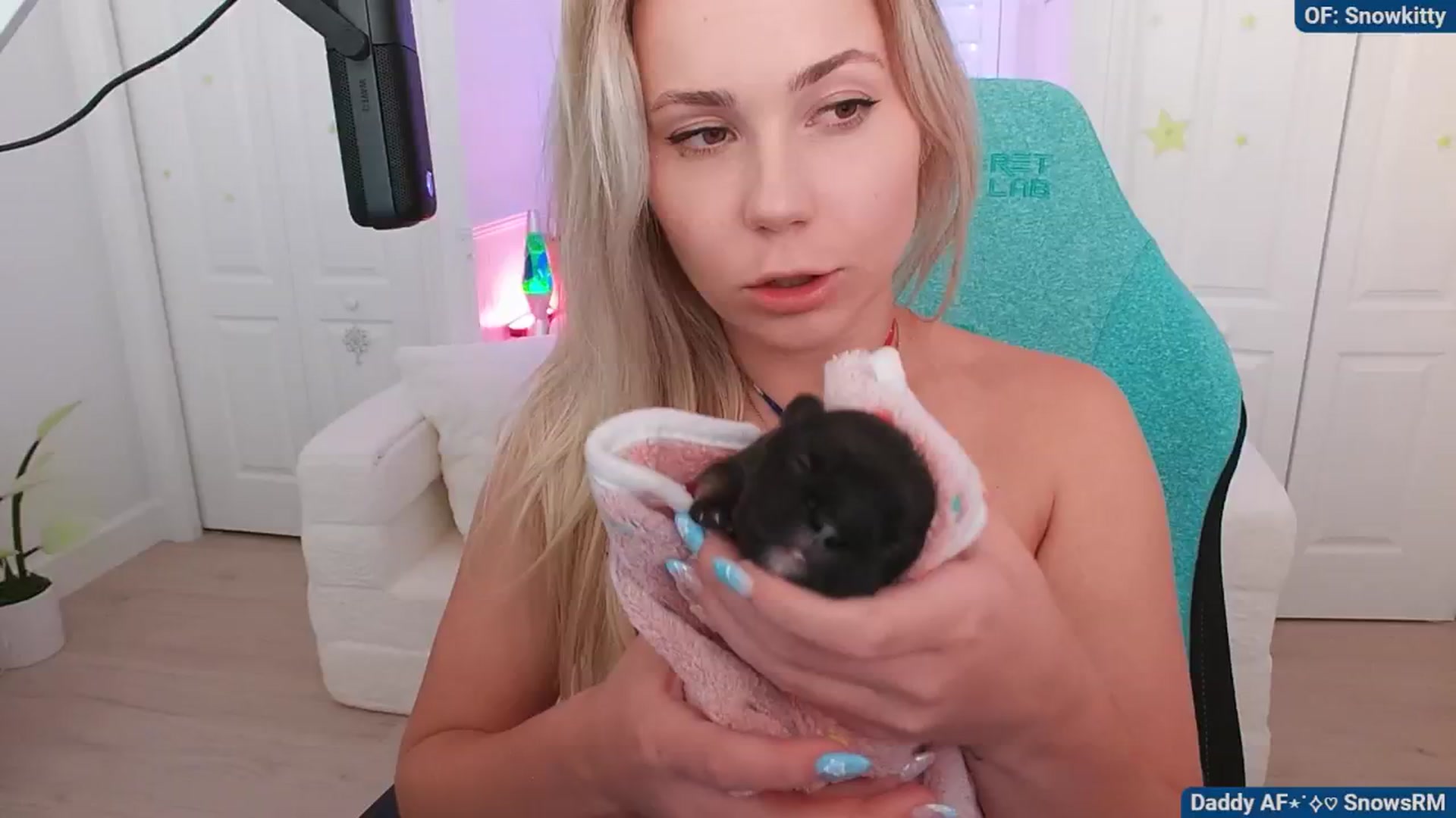 Gallery image thumbnail from Snowkitty's myfreecams stream on, 07/07/2024, 05:02 image 18 of 20
