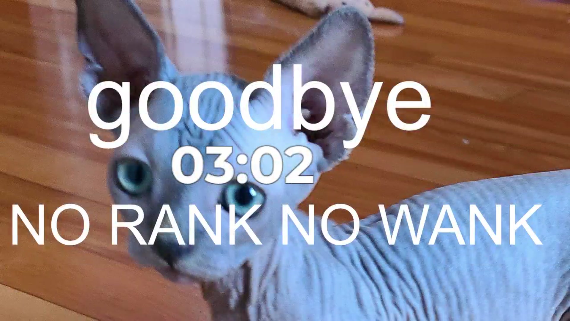 Gallery image thumbnail from Snowkitty's myfreecams stream on, 07/27/2024, 06:37 image 19 of 20