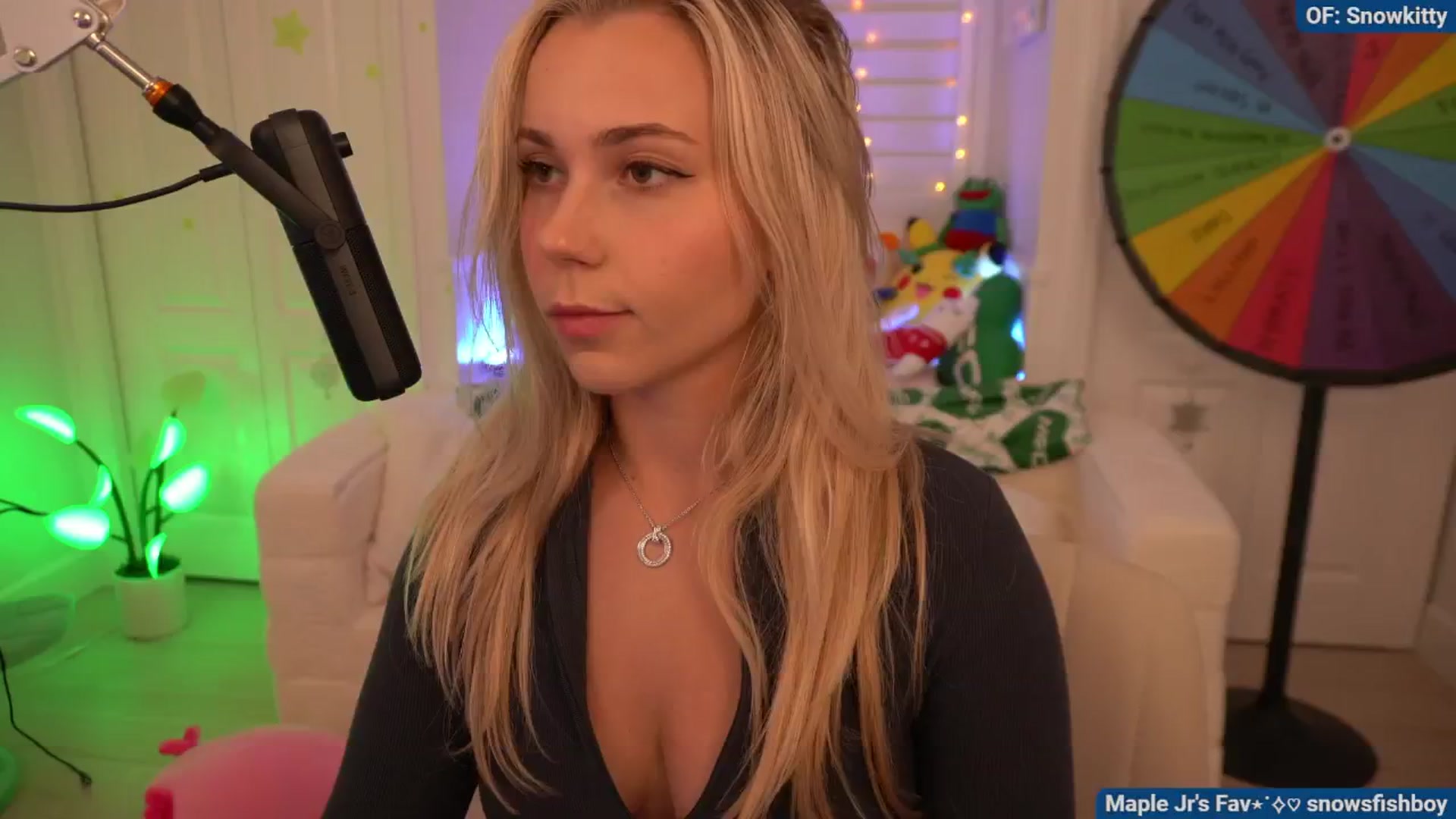 Gallery image thumbnail from Snowkitty's myfreecams stream on, 08/13/2024, 02:52 image 1 of 20
