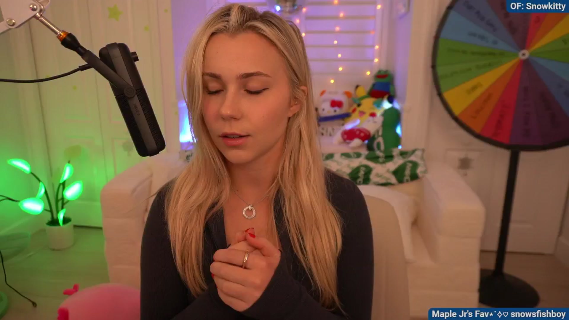 Gallery image thumbnail from Snowkitty's myfreecams stream on, 08/13/2024, 02:52 image 10 of 20