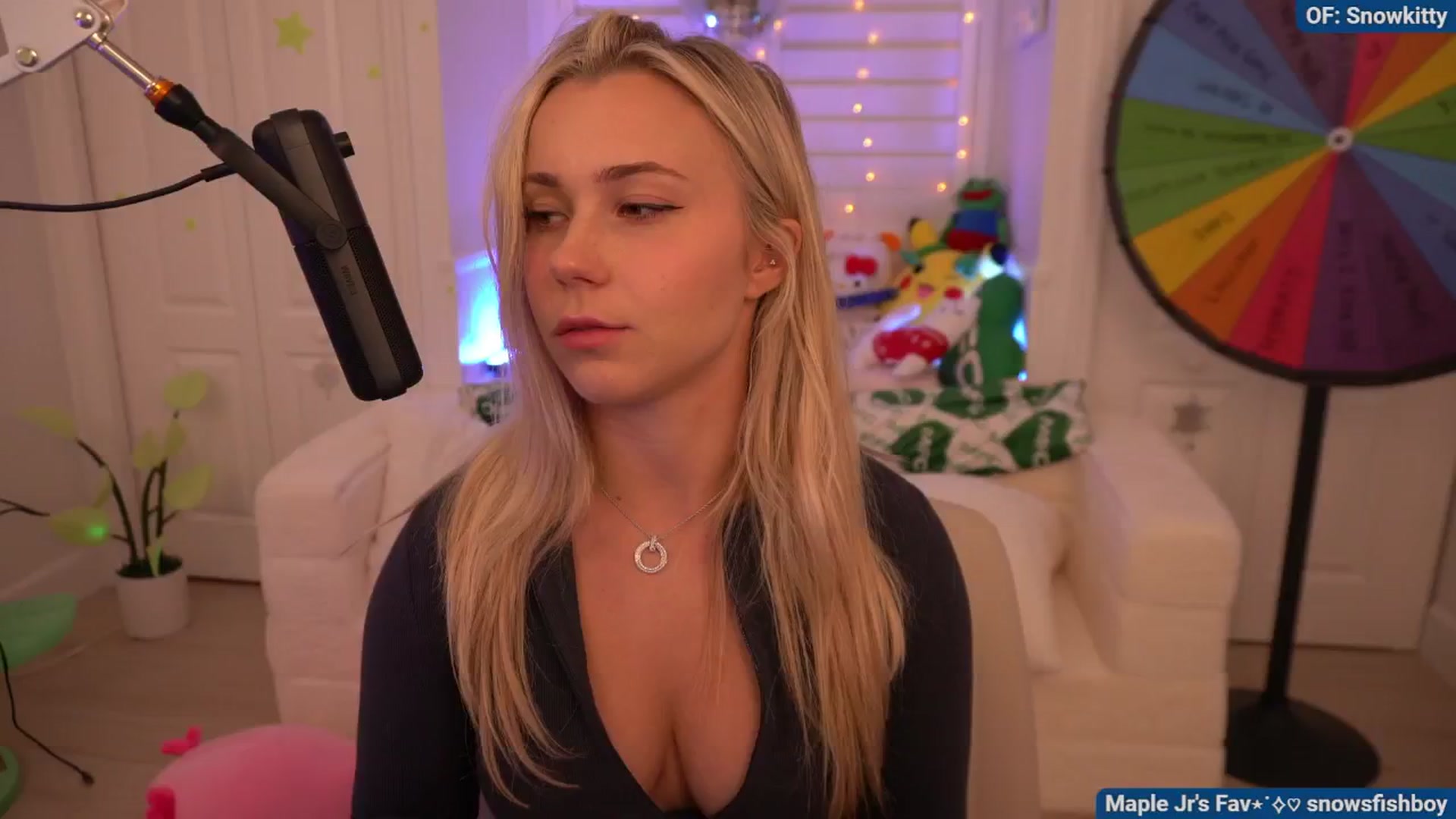 Gallery image thumbnail from Snowkitty's myfreecams stream on, 08/13/2024, 02:52 image 11 of 20