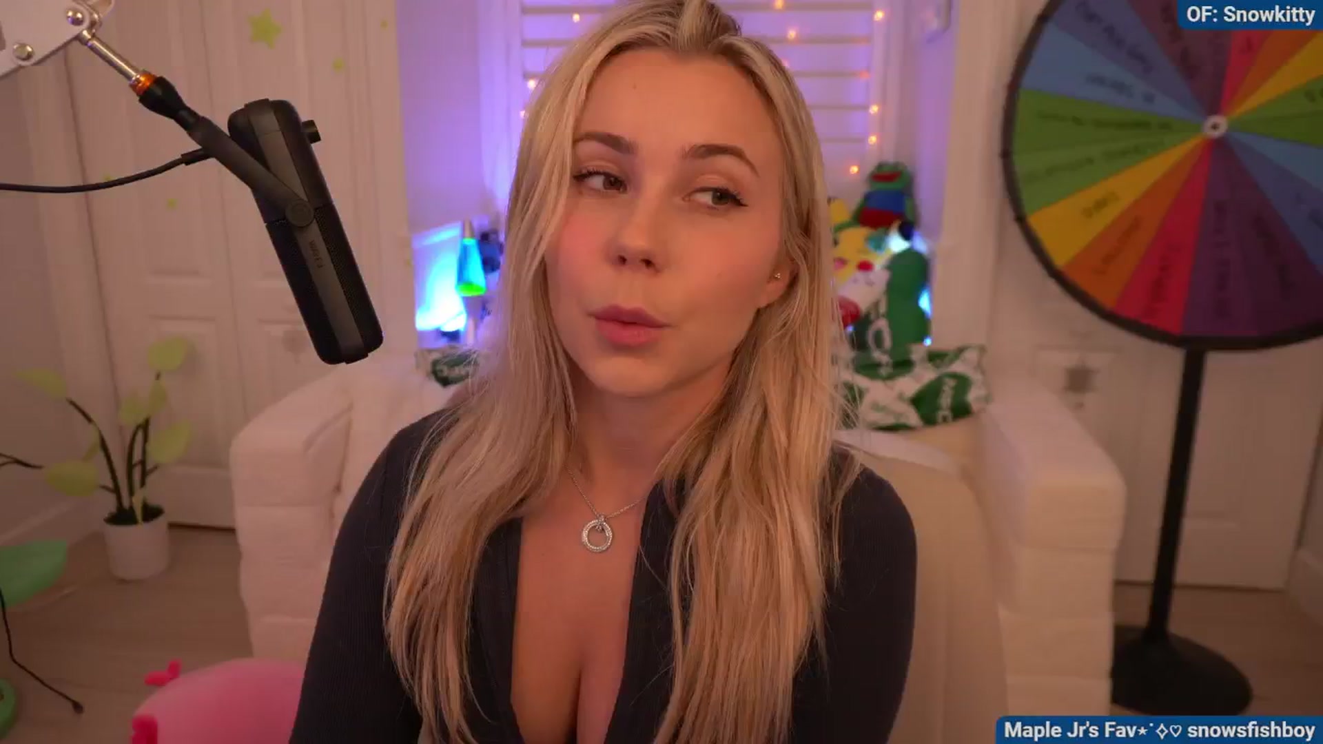 Gallery image thumbnail from Snowkitty's myfreecams stream on, 08/13/2024, 02:52 image 3 of 20