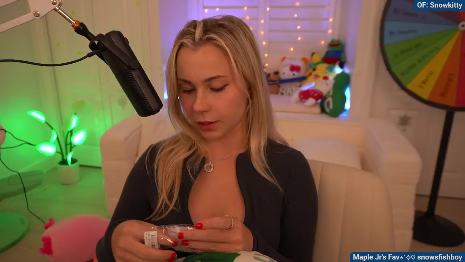 Gallery image thumbnail from Snowkitty's myfreecams stream on, 08/13/2024, 04:53 image 15 of 20