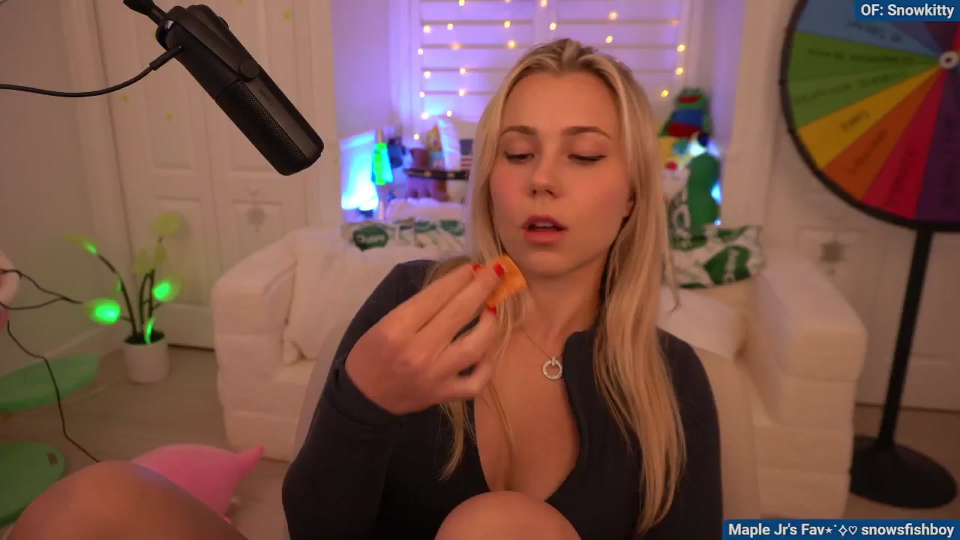 Gallery image thumbnail from Snowkitty's myfreecams stream on, 08/13/2024, 04:53 image 11 of 20