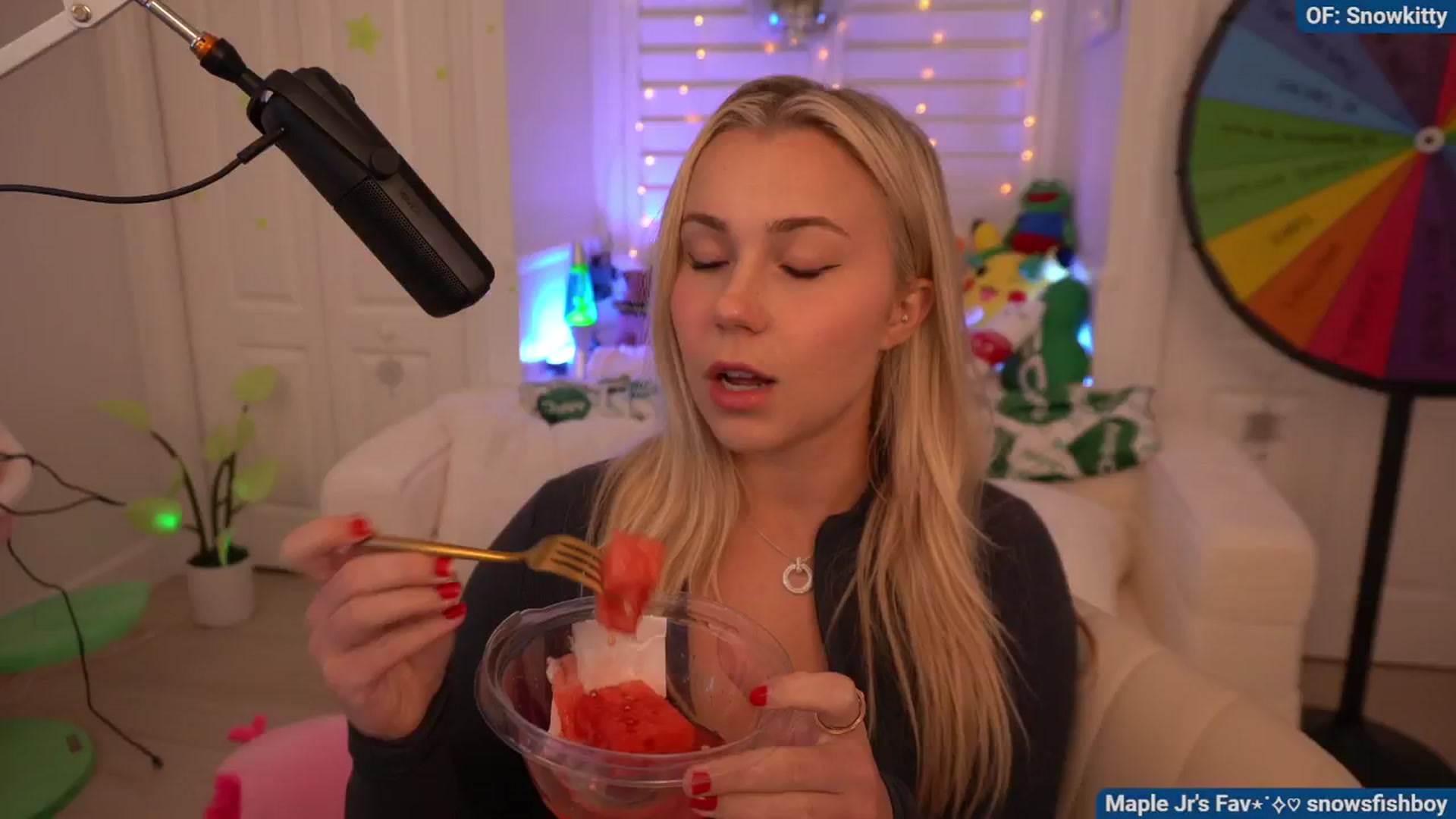 Gallery image thumbnail from Snowkitty's myfreecams stream on, 08/13/2024, 04:53 image 5 of 20