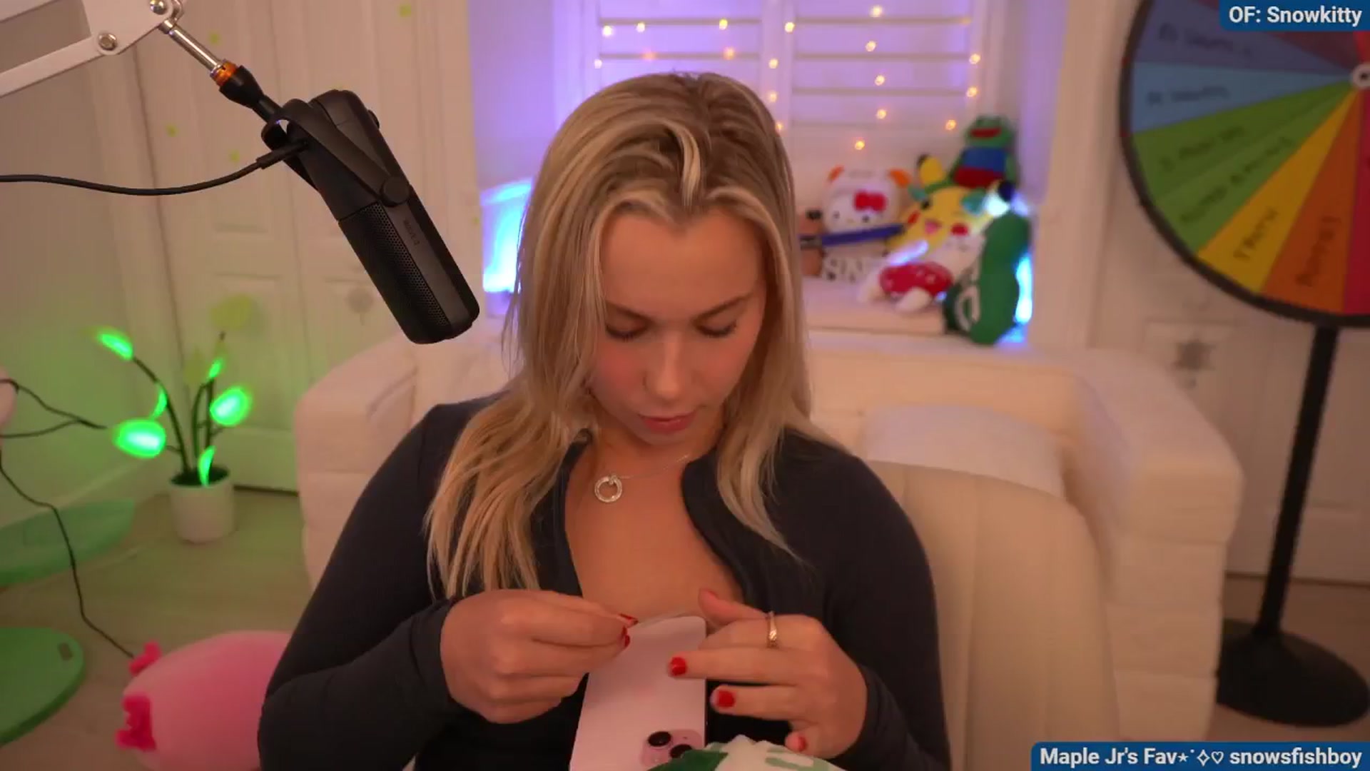 Gallery image thumbnail from Snowkitty's myfreecams stream on, 08/13/2024, 04:53 image 16 of 20