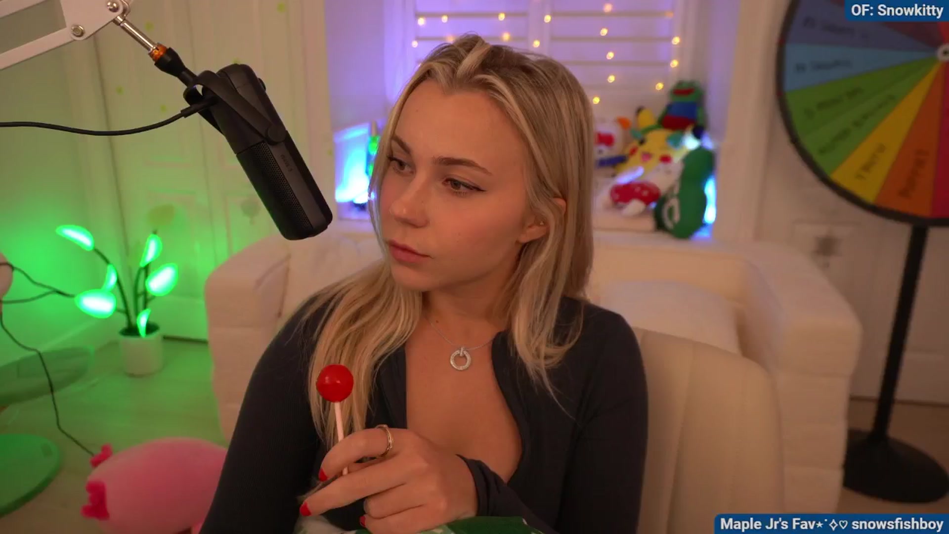 Gallery image thumbnail from Snowkitty's myfreecams stream on, 08/13/2024, 04:53 image 13 of 20