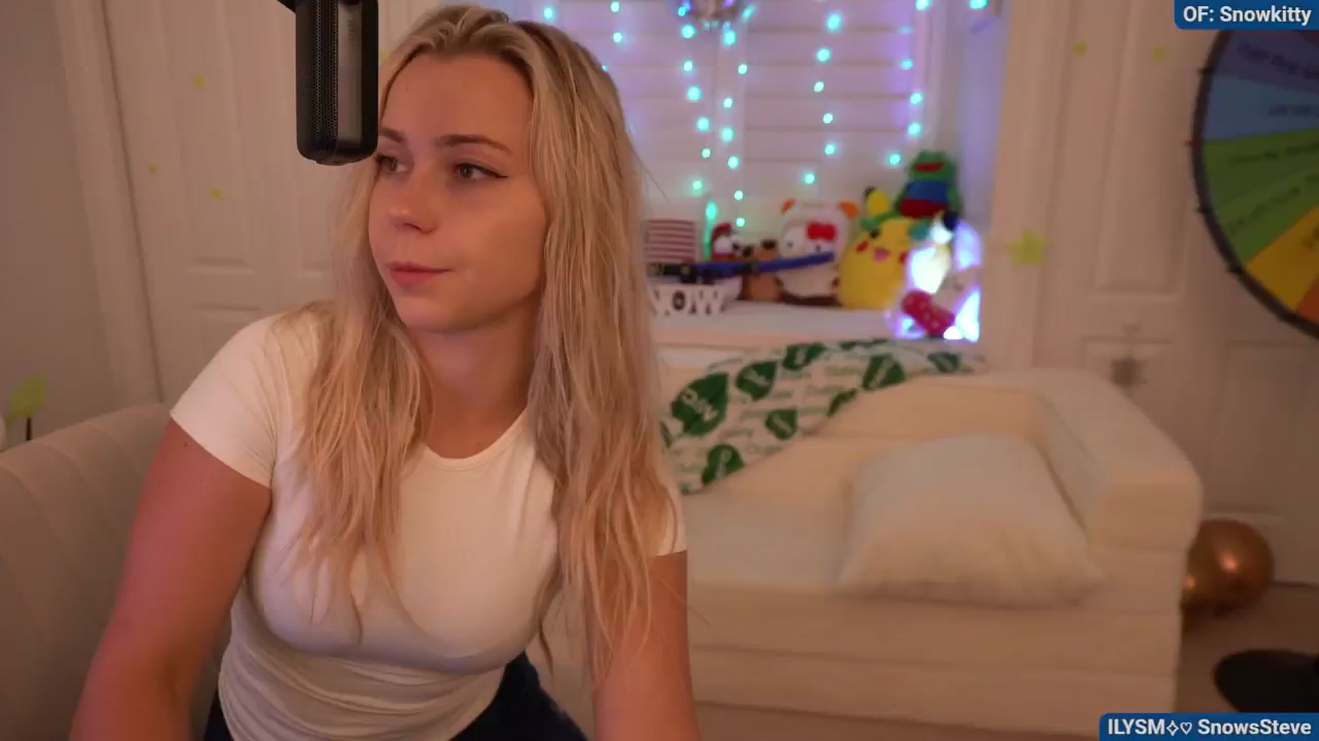 Gallery image thumbnail from Snowkitty's myfreecams stream on, 08/27/2024, 03:10 image 3 of 20