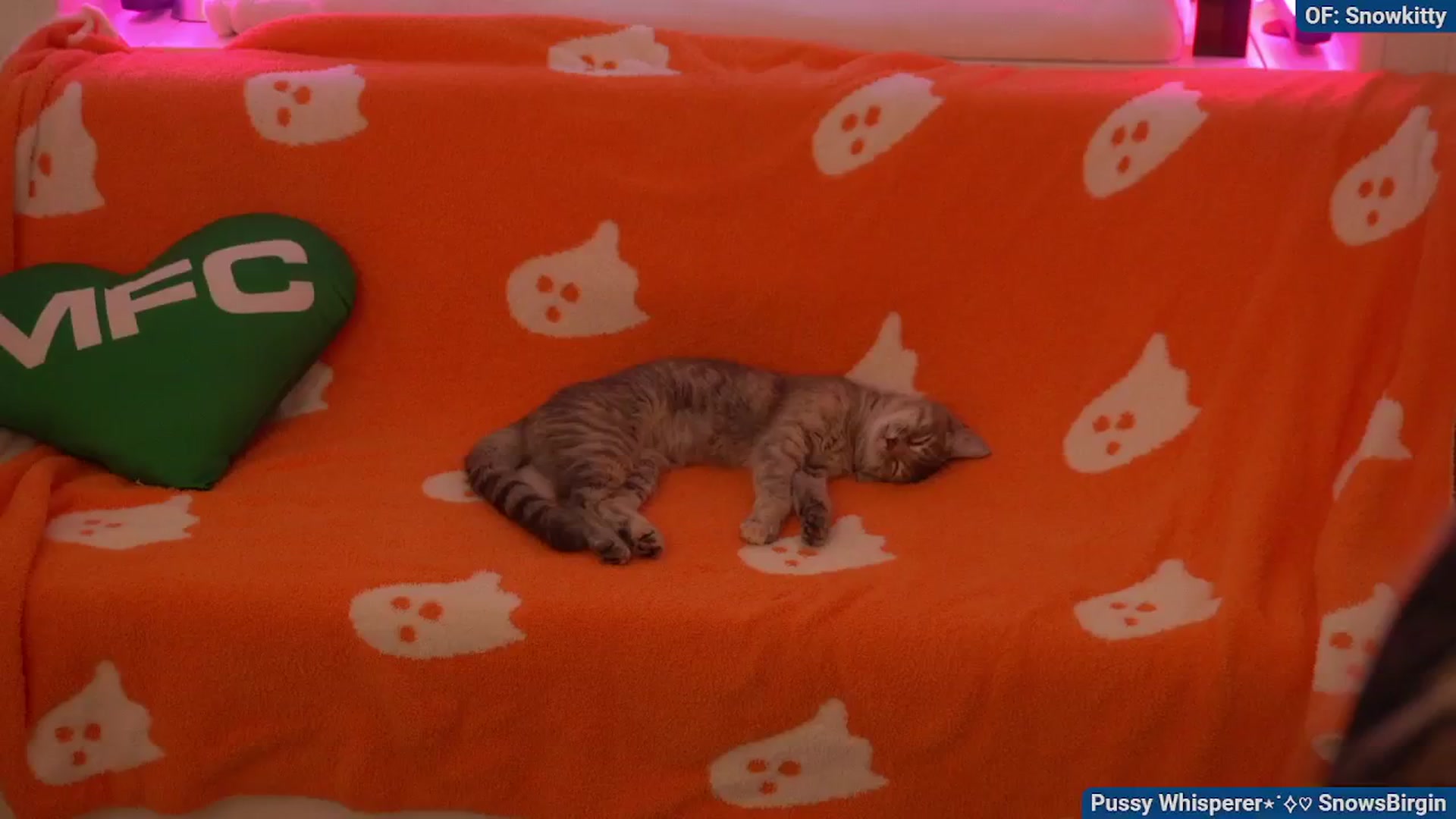 Gallery image thumbnail from Snowkitty's myfreecams stream on, 11/03/2024, 06:39 image 20 of 20