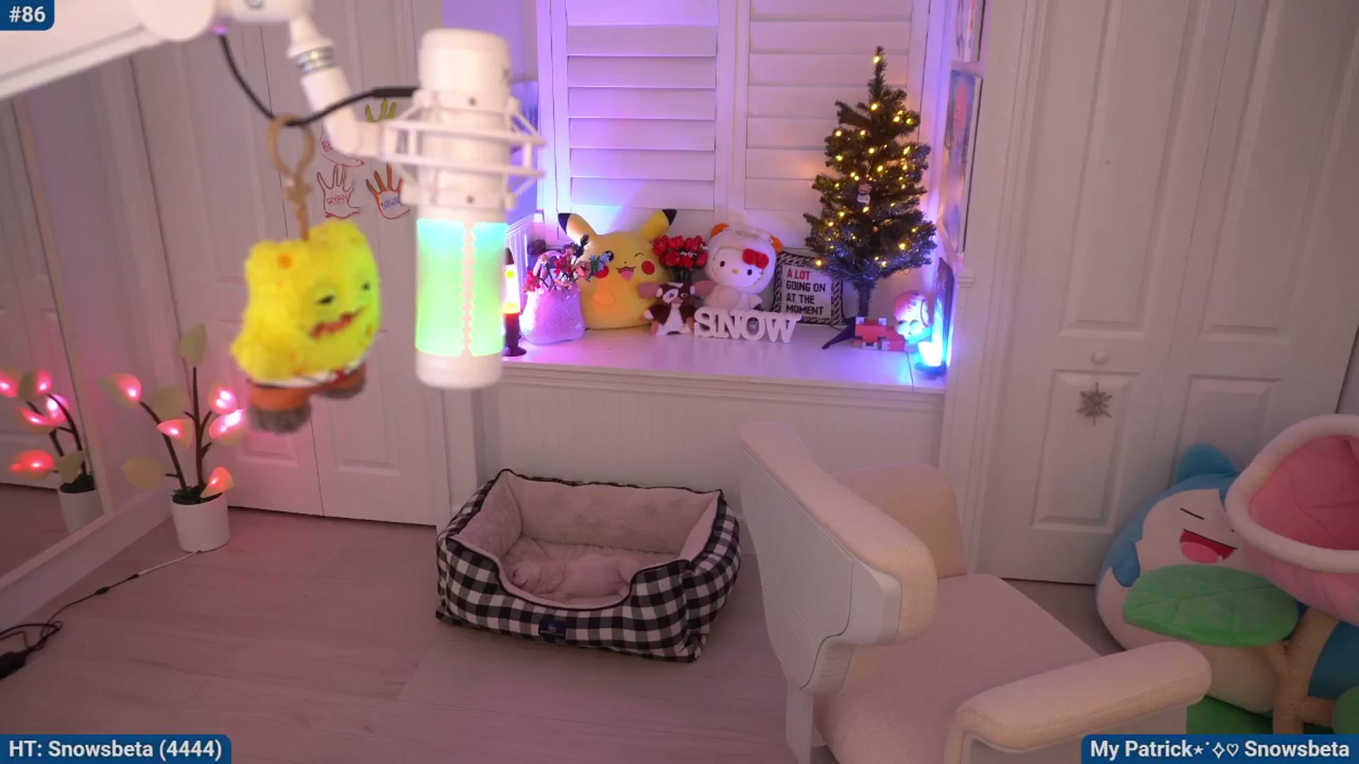 Gallery image thumbnail from Snowkitty's myfreecams stream on, 11/15/2025, 05:20 image 16 of 20