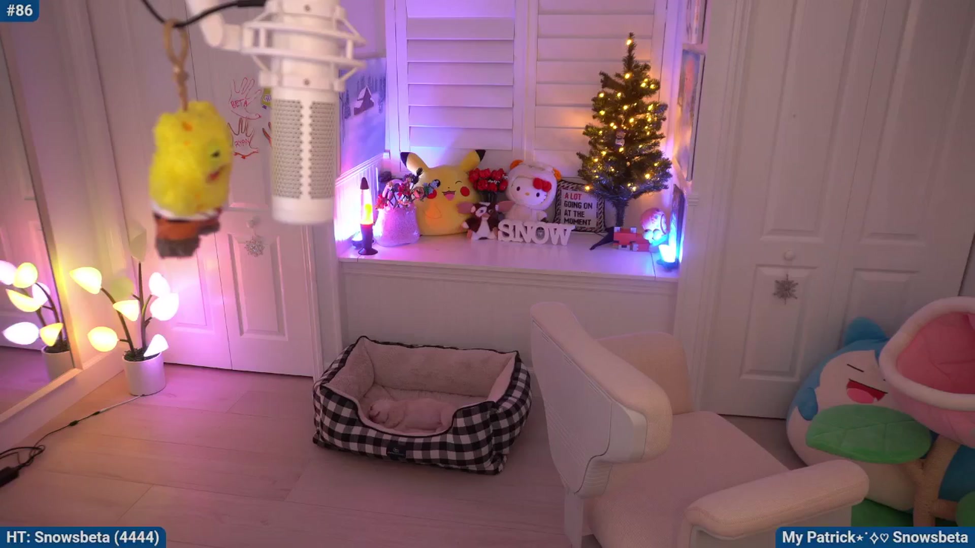 Gallery image thumbnail from Snowkitty's myfreecams stream on, 11/15/2025, 05:20 image 17 of 20