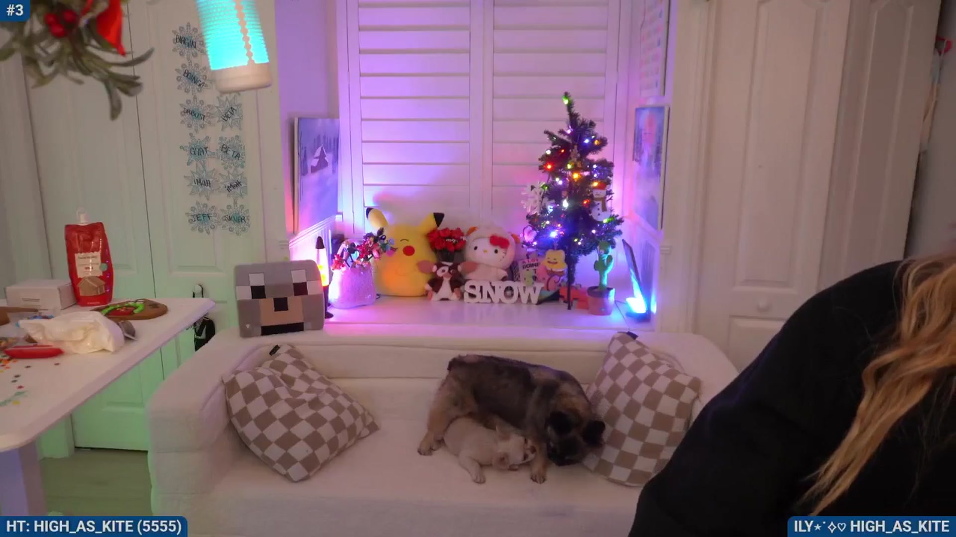 Gallery image thumbnail from Snowkitty's myfreecams stream on, 12/11/2025, 05:07 image 11 of 20