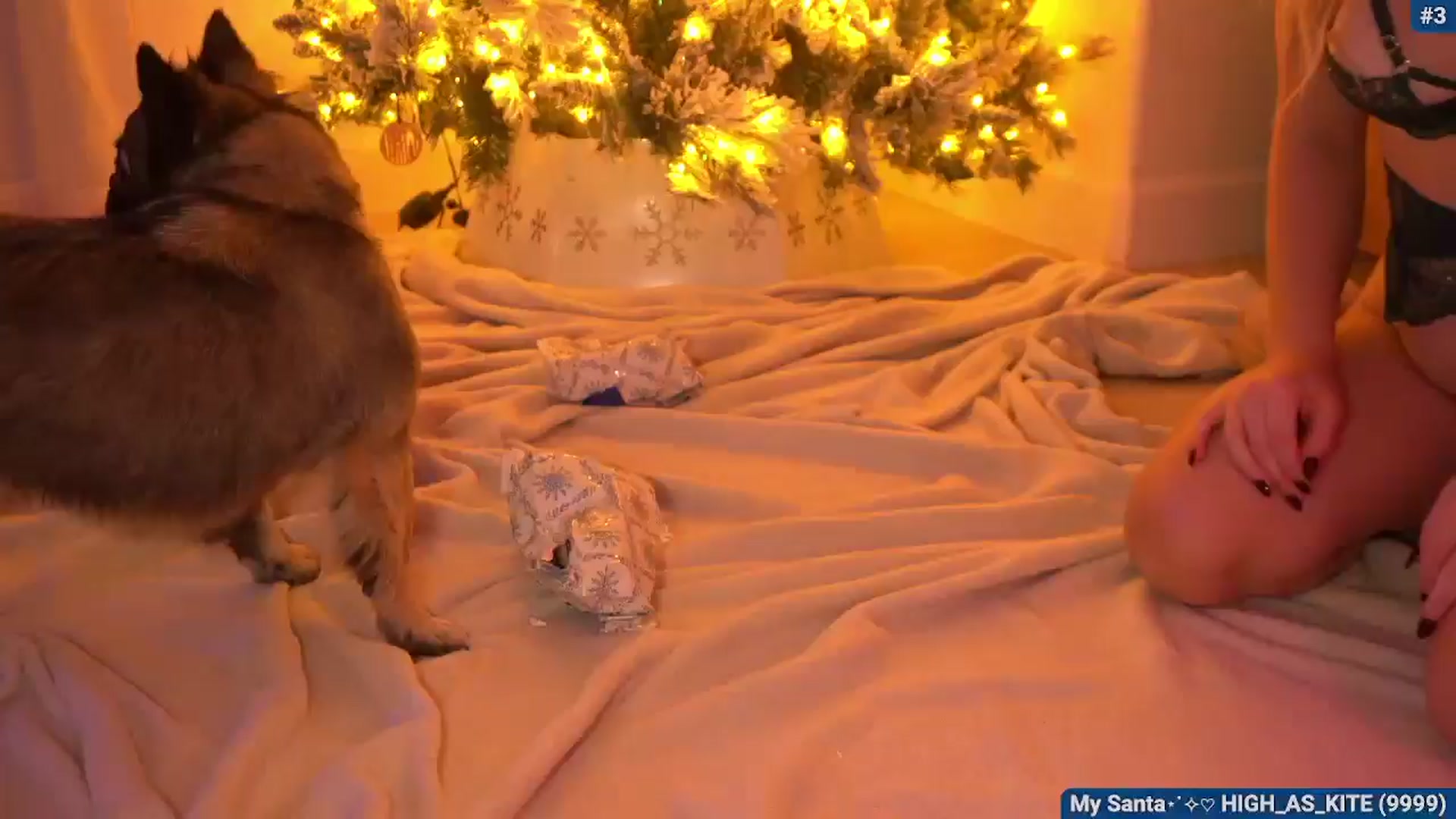 Gallery image thumbnail from Snowkitty's myfreecams stream on, 12/26/2025, 04:35 image 17 of 20