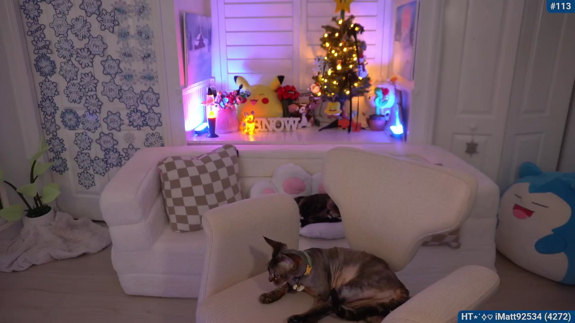 Gallery image thumbnail from Snowkitty's myfreecams stream on, 01/11/2026, 05:49 image 9 of 20
