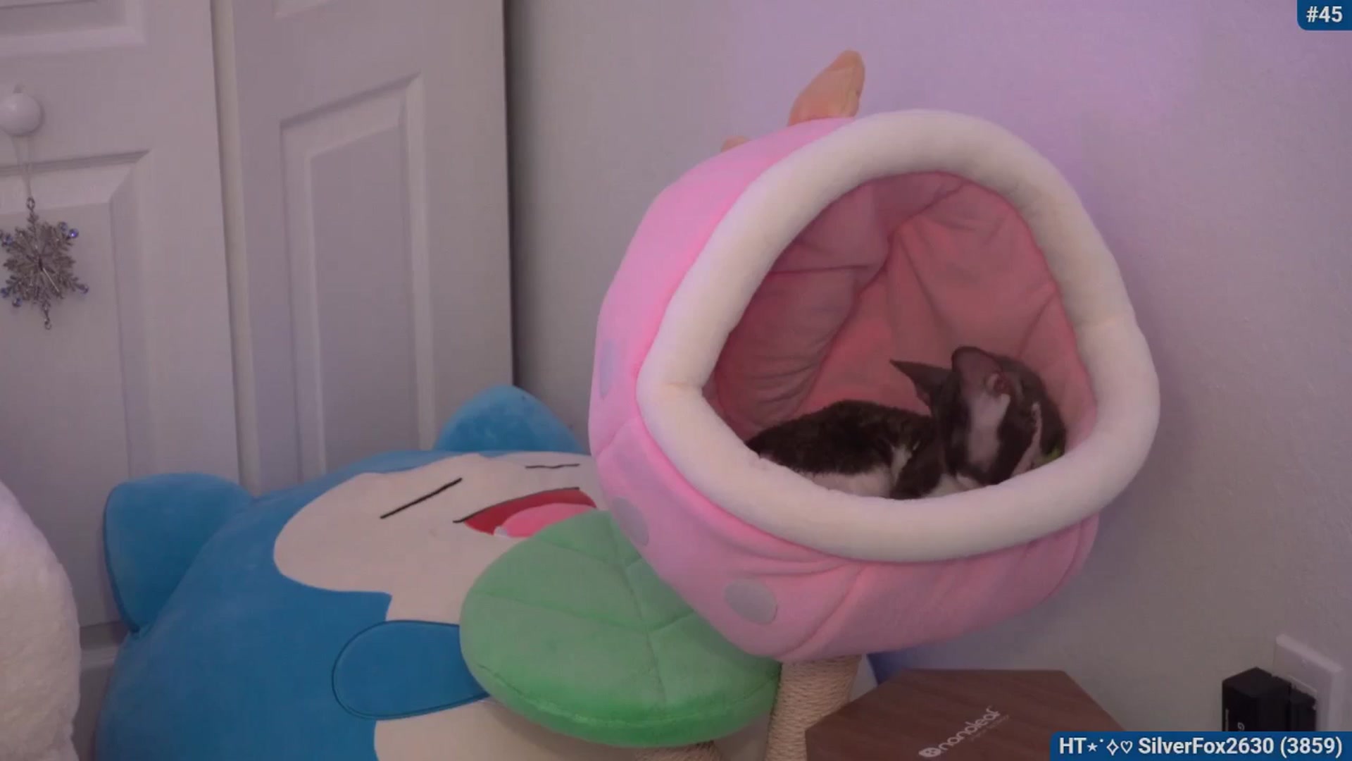 Gallery image thumbnail from Snowkitty's myfreecams stream on, 01/21/2026, 04:44 image 4 of 20