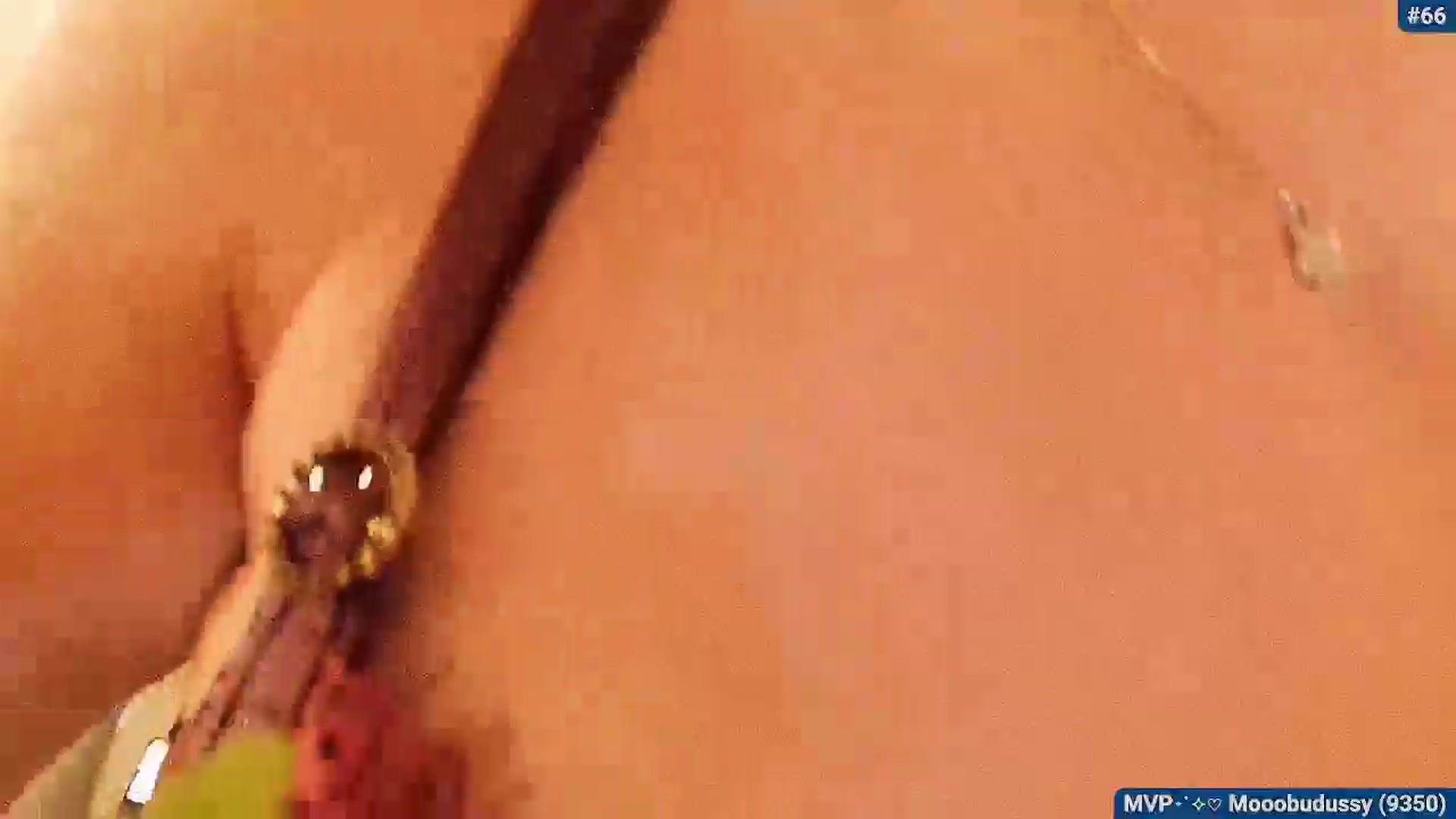 Gallery image thumbnail from Snowkitty's myfreecams stream on, 04/04/2026, 04:55 image 20 of 20