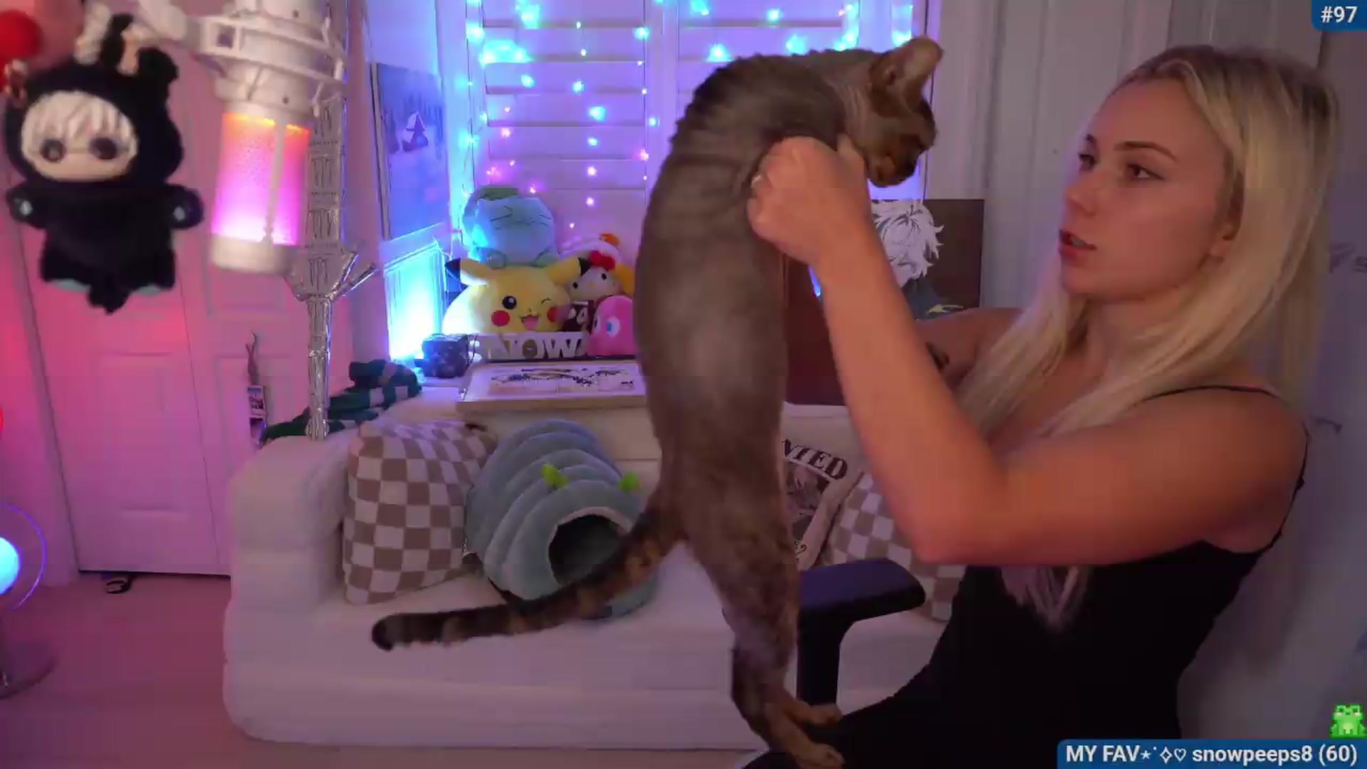 Gallery image thumbnail from Snowkitty's myfreecams stream on, 07/28/2026, 03:24 image 1 of 20