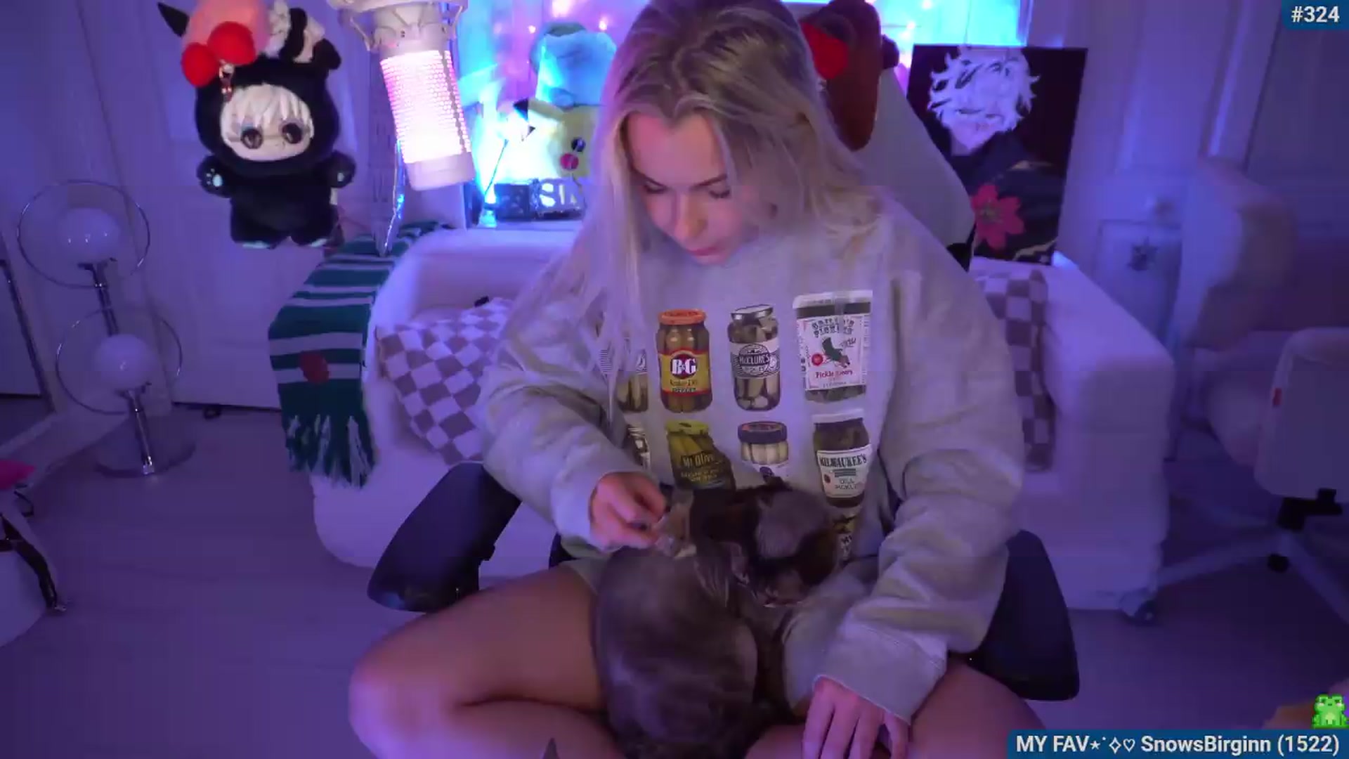 Gallery image thumbnail from Snowkitty's myfreecams stream on, 08/09/2026, 03:29 image 17 of 20