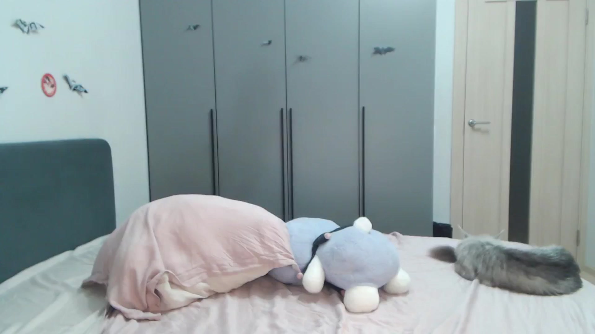 Gallery image thumbnail from Snowy_AF's myfreecams stream on, 12/12/2025, 07:12 image 1 of 20