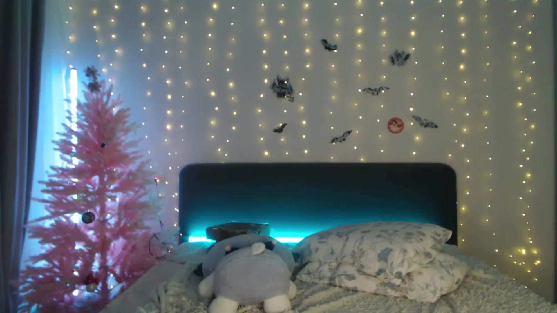 Gallery image thumbnail from Snowy_AF's myfreecams stream on, 12/25/2025, 03:41 image 15 of 20