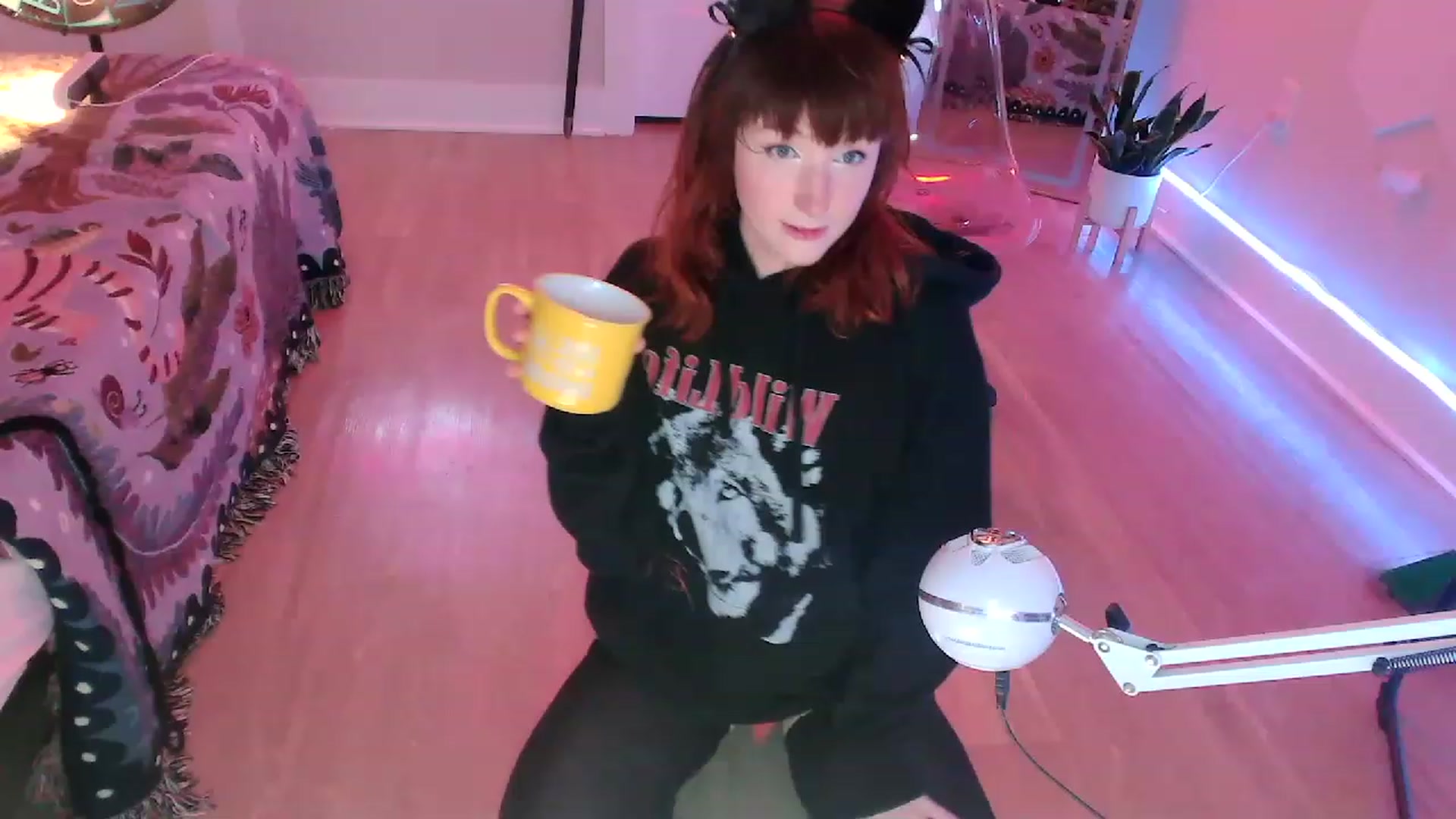 Gallery image thumbnail from SnugglePunk's myfreecams stream on, 06/12/2023, 24:44 image 15 of 20