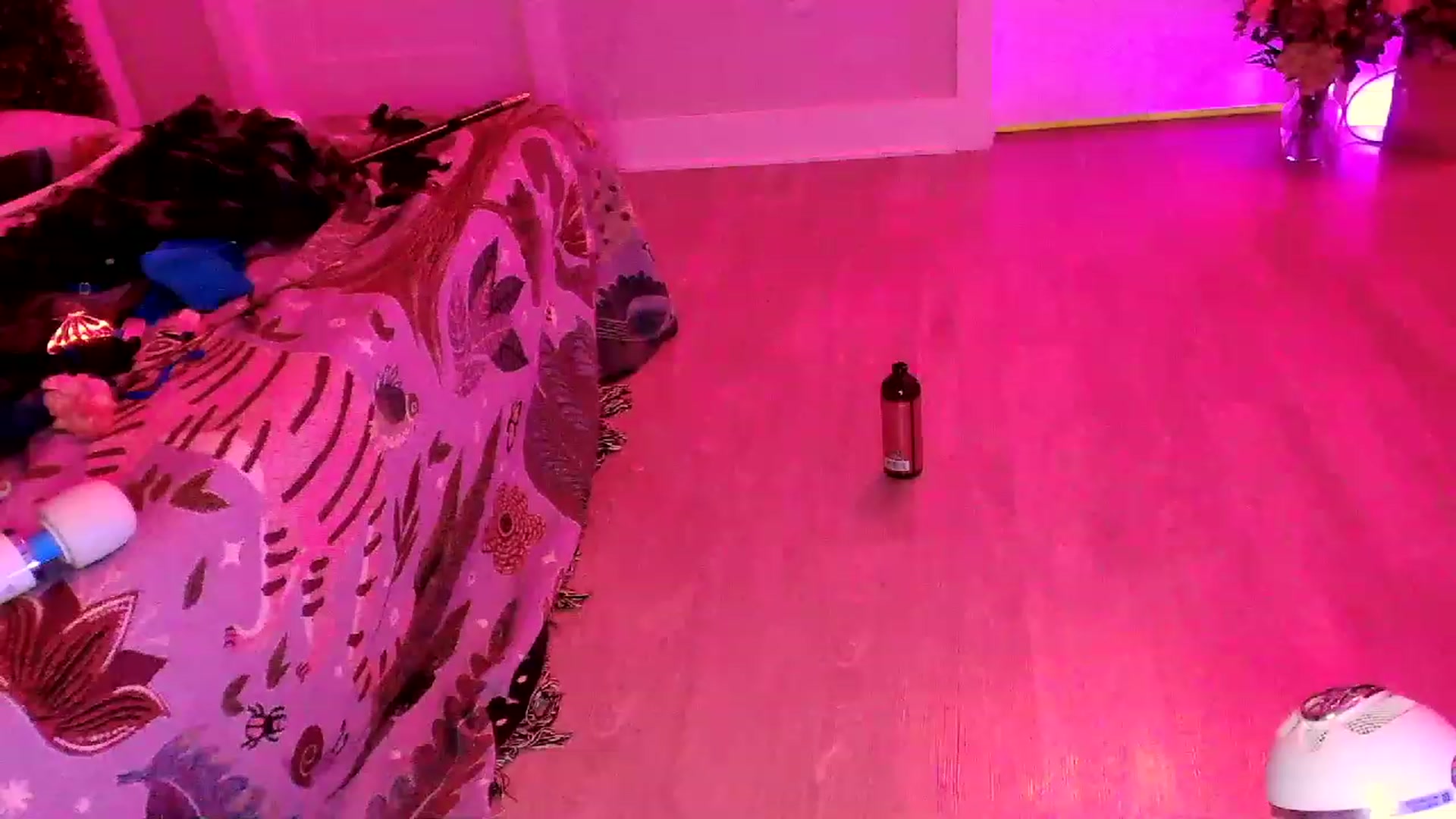Gallery image thumbnail from SnugglePunk's myfreecams stream on, 06/29/2023, 02:59 image 15 of 20