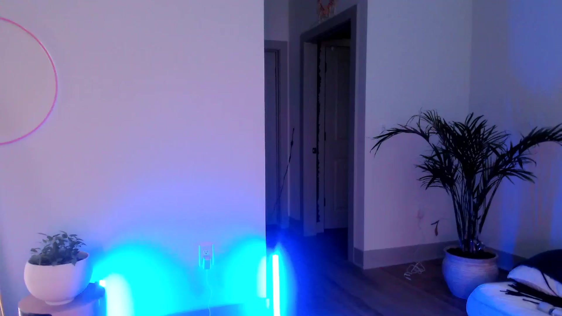 Gallery image thumbnail from SnugglePunk's myfreecams stream on, 06/29/2024, 24:46 image 8 of 20