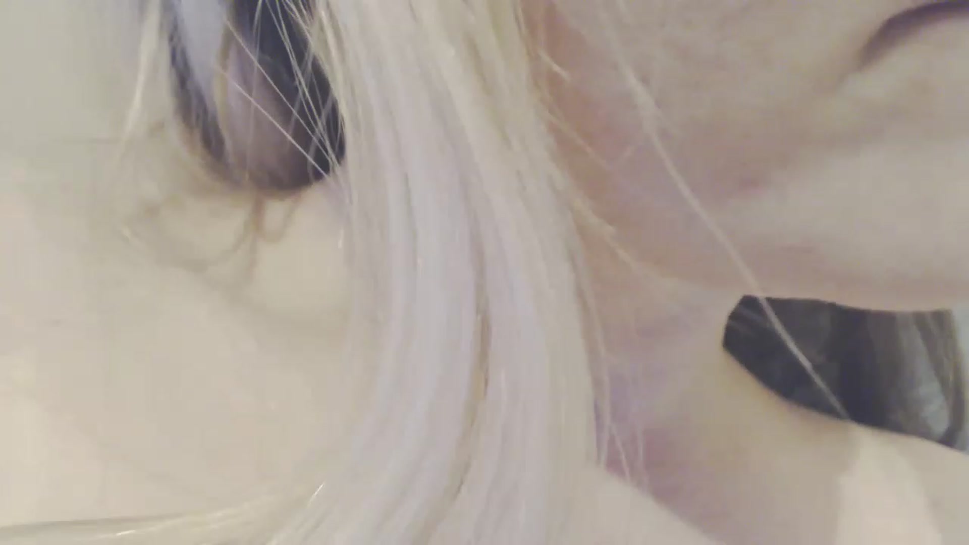 Gallery image thumbnail from SoLittleAmber's myfreecams stream on, 03/27/2023, 17:39 image 11 of 20