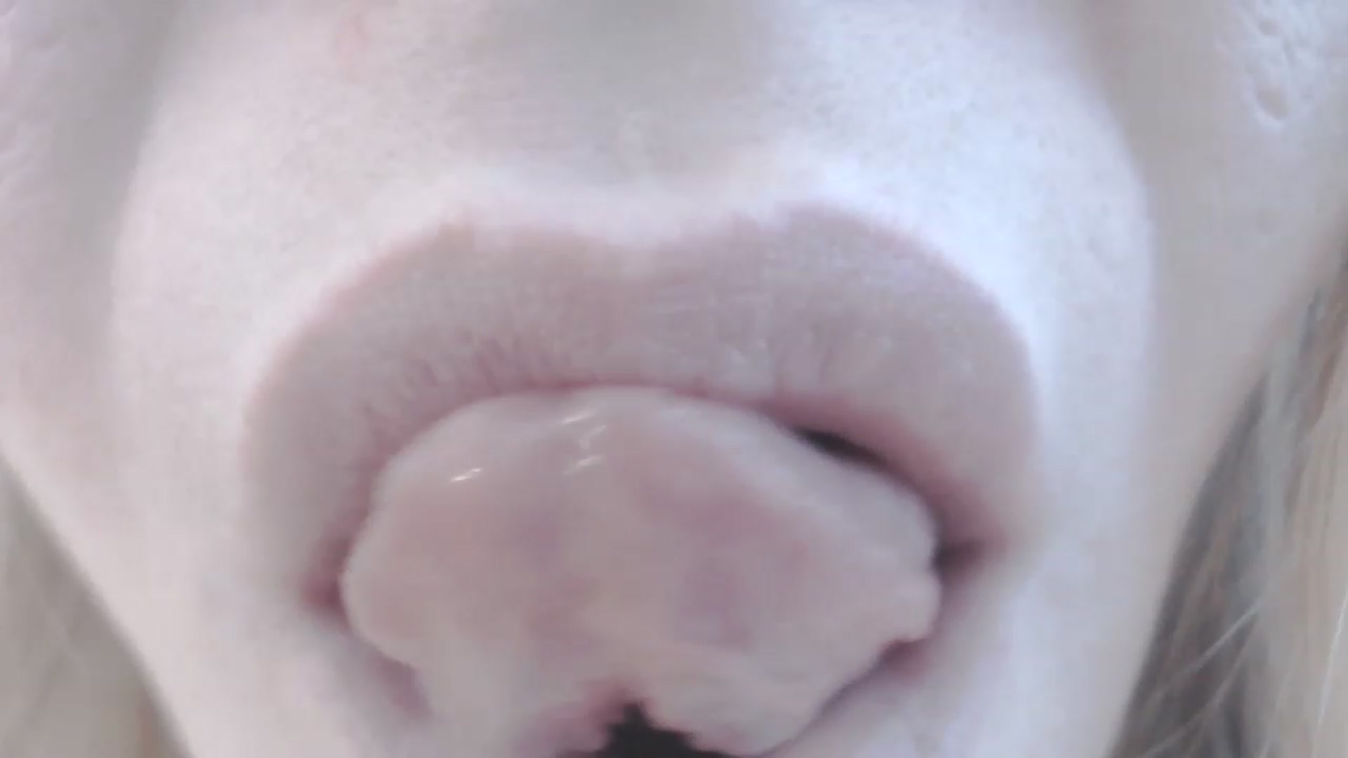 Gallery image thumbnail from SoLittleAmber's myfreecams stream on, 04/09/2023, 08:52 image 8 of 20