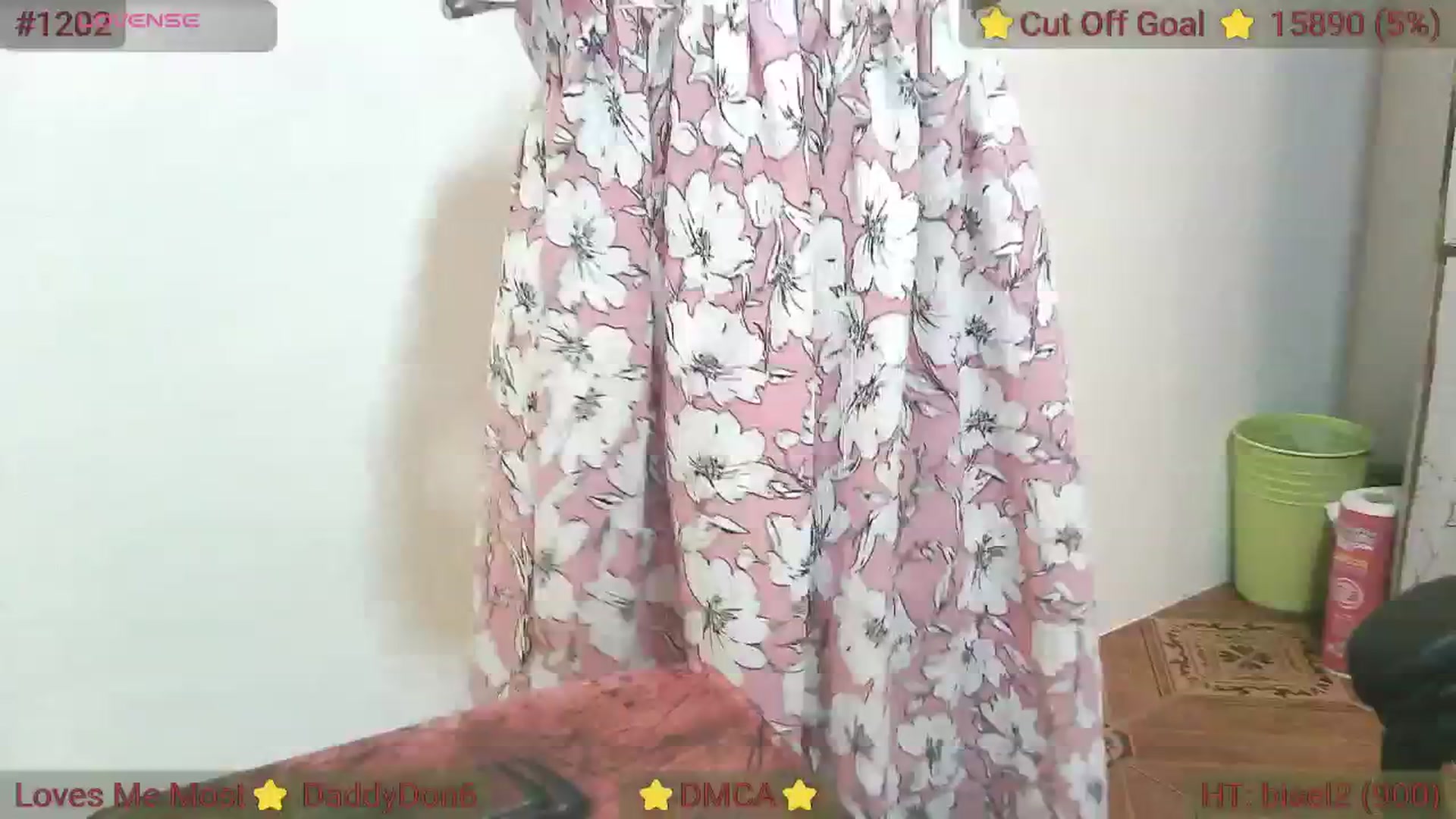 Gallery image thumbnail from SoMuchLove4u's myfreecams stream on, 03/10/2025, 15:59 image 4 of 20