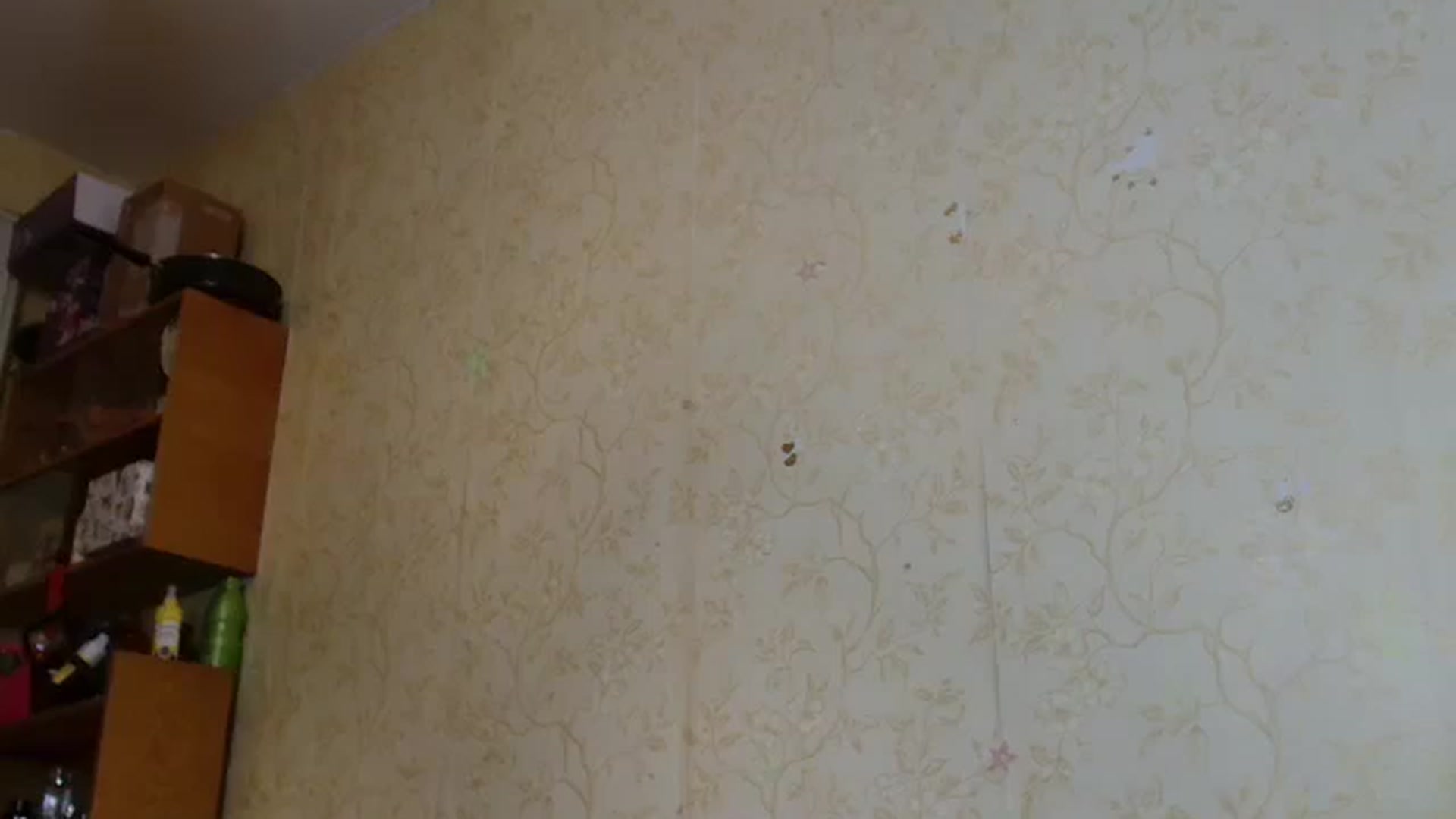 Gallery image thumbnail from SofiAmeli's myfreecams stream on, 05/19/2025, 21:41 image 1 of 20