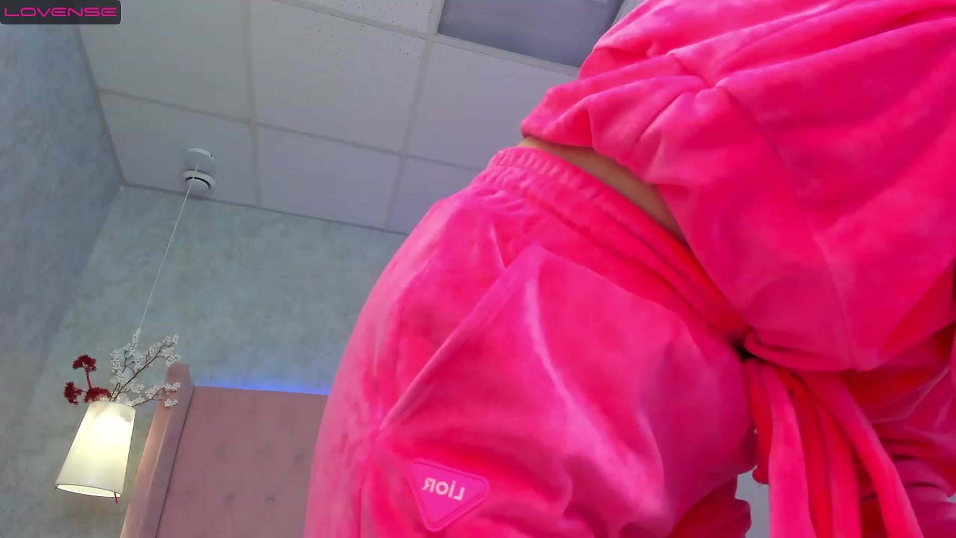 Gallery image thumbnail from SofiBloom's myfreecams stream on, 01/04/2023, 07:43 image 19 of 20