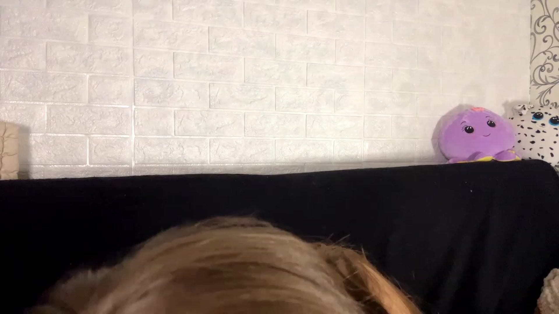 Gallery image thumbnail from SofiBloom111's myfreecams stream on, 10/19/2023, 21:28 image 16 of 20