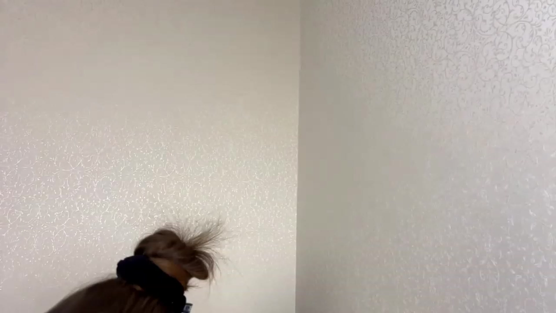 Gallery image thumbnail from SofiBloom111's myfreecams stream on, 01/19/2024, 20:06 image 20 of 20