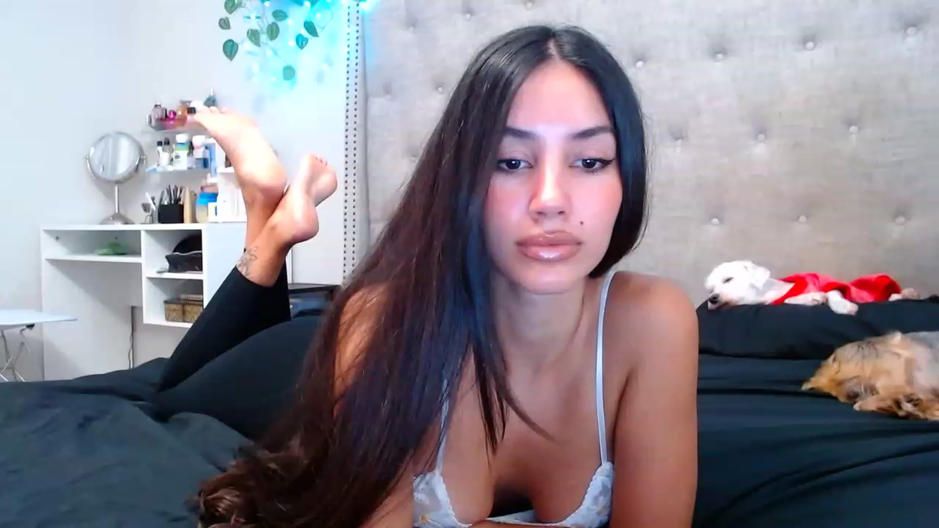 Gallery image thumbnail from SofiDiamond_'s myfreecams stream on, 11/15/2022, 19:21 image 19 of 20