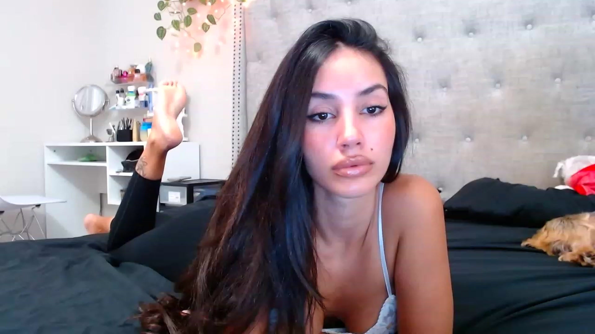 Gallery image thumbnail from SofiDiamond_'s myfreecams stream on, 11/15/2022, 19:21 image 20 of 20