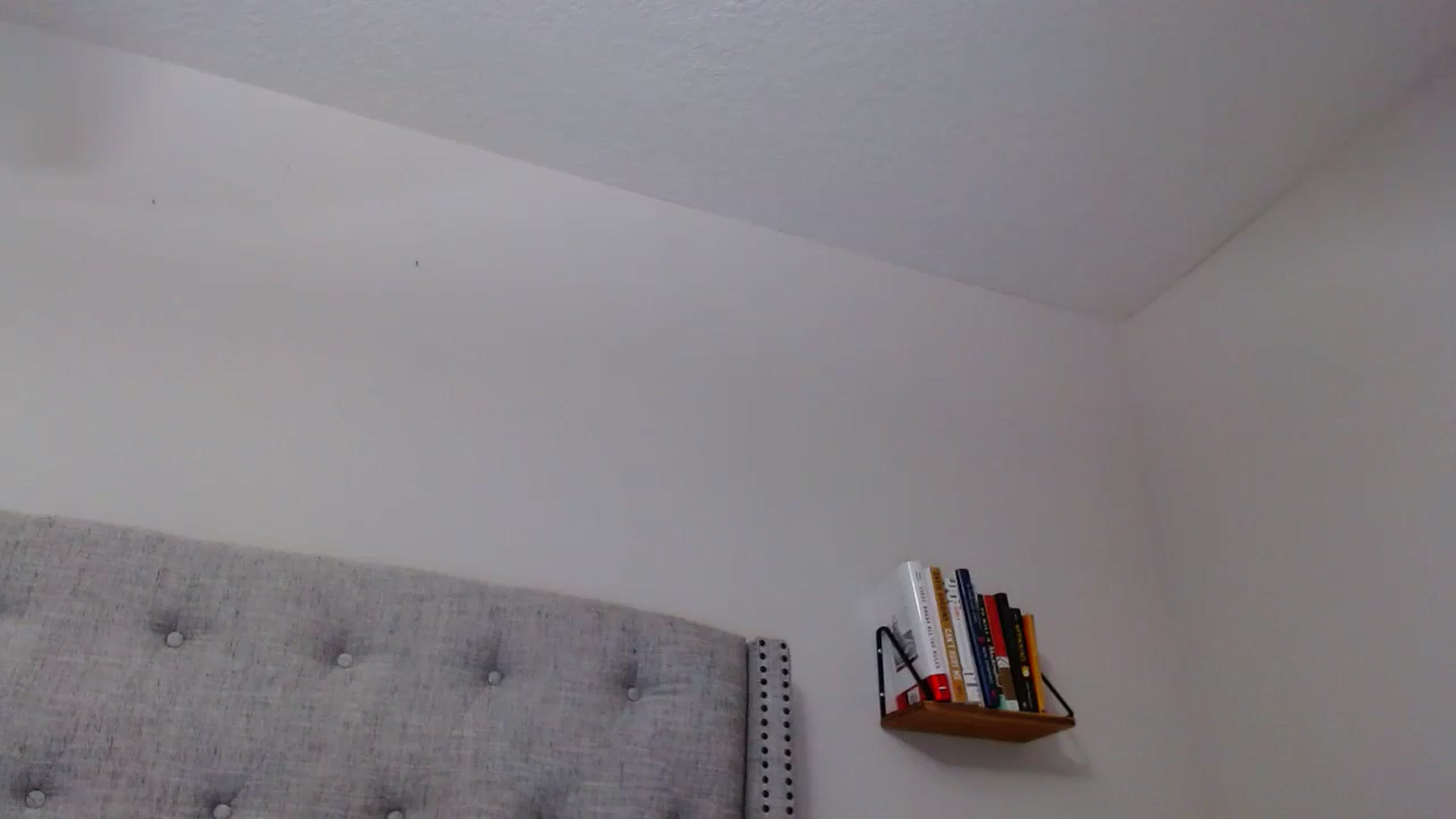 Gallery image thumbnail from SofiDiamond_'s myfreecams stream on, 10/09/2024, 24:44 image 12 of 20