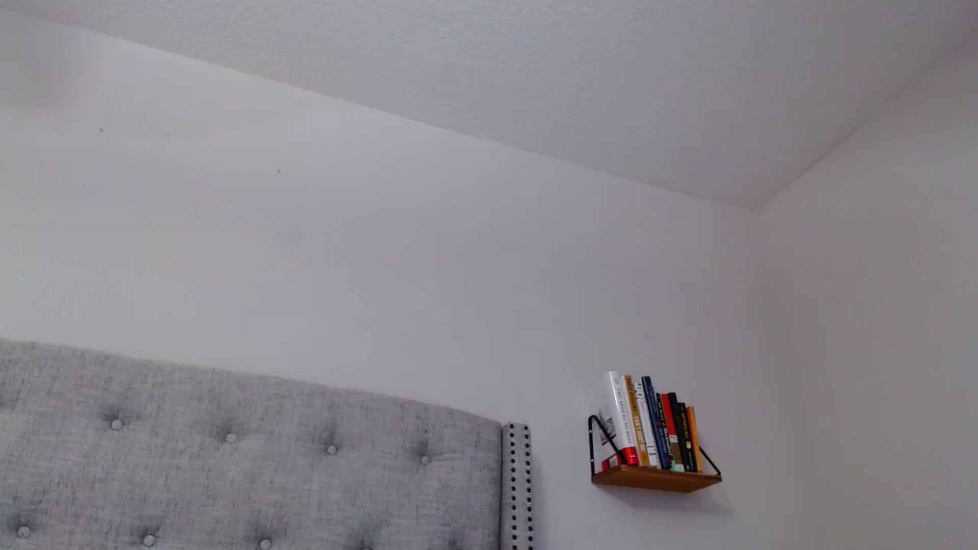 Gallery image thumbnail from SofiDiamond_'s myfreecams stream on, 10/09/2024, 24:44 image 11 of 20