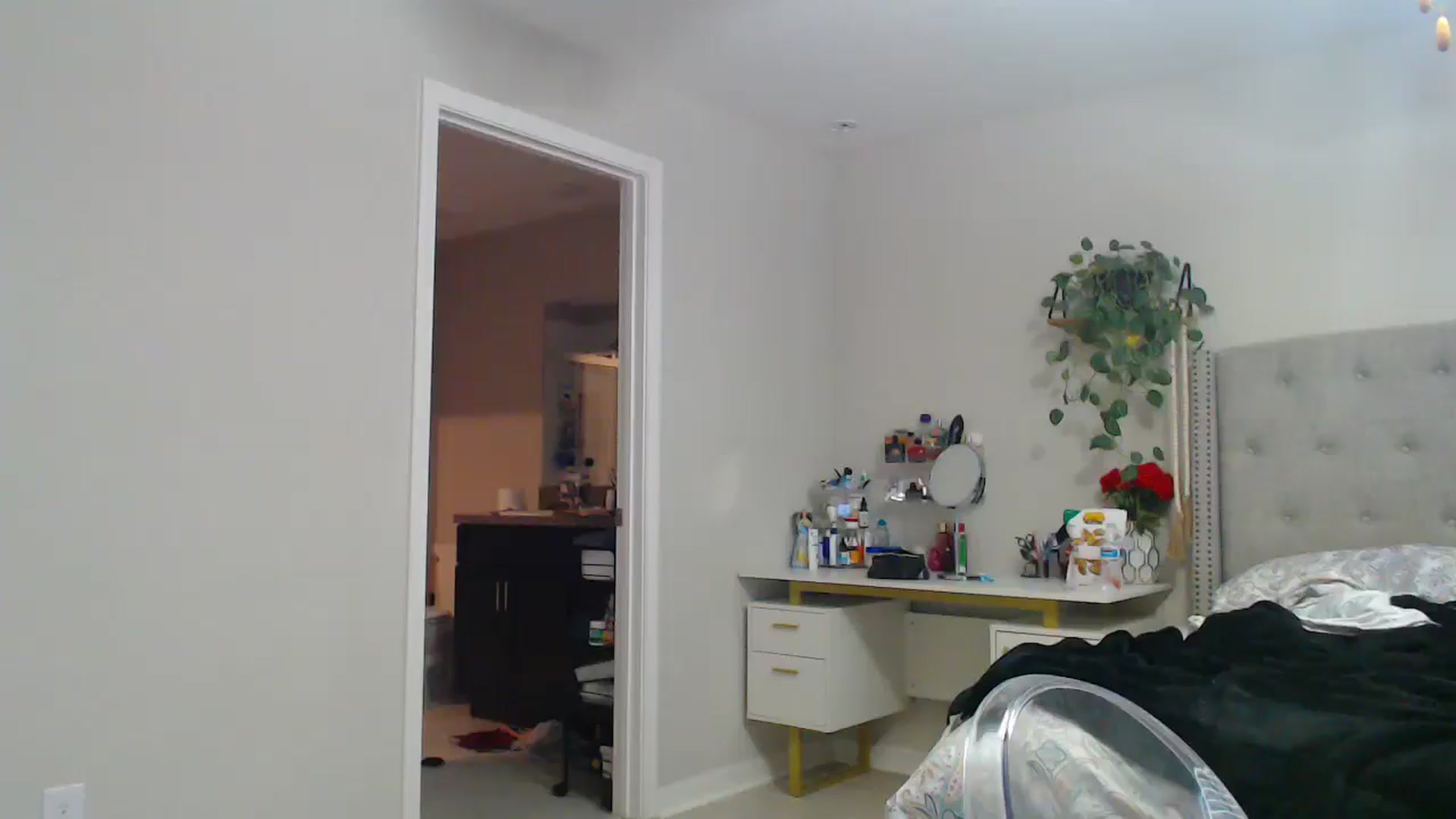 Gallery image thumbnail from SofiDiamond_'s myfreecams stream on, 04/09/2025, 23:21 image 1 of 20
