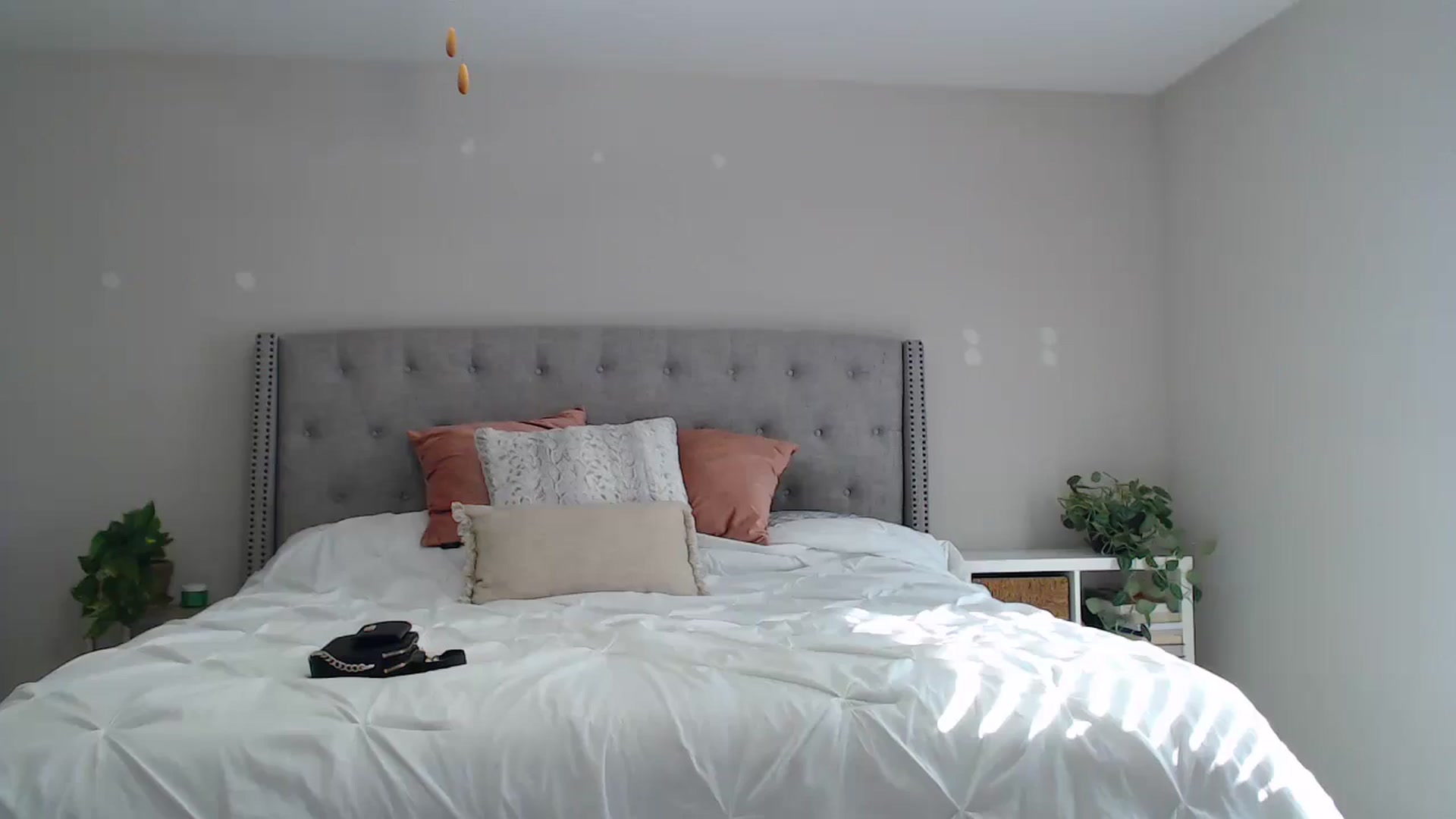Gallery image thumbnail from SofiDiamond_'s myfreecams stream on, 05/24/2025, 21:59 image 11 of 20
