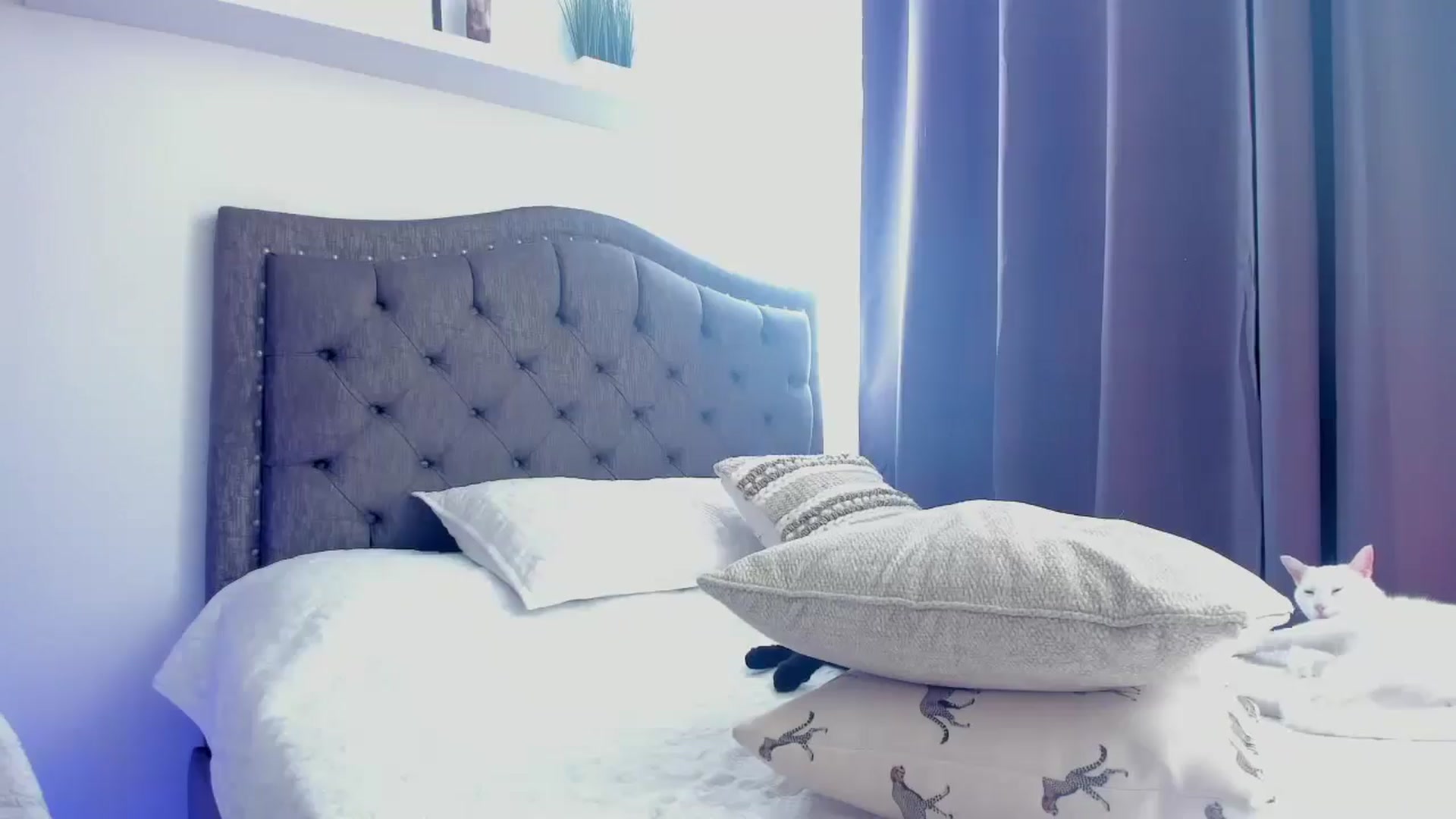 Gallery image thumbnail from Sofi__Lune's myfreecams stream on, 08/13/2025, 20:41 image 14 of 20